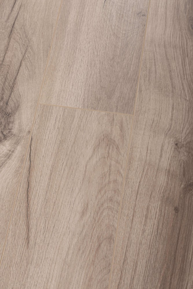 Panneau stratifié Chêne Sękaty – Premium Floor