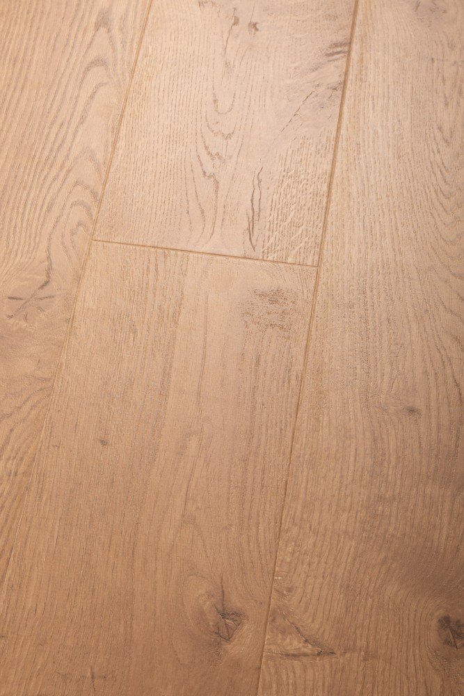 Panneau stratifié Chêne Premiere – Premium Floor