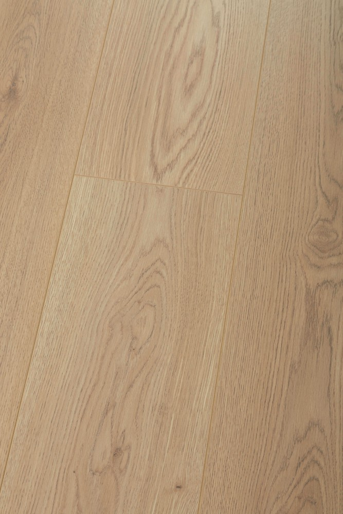 Panneau stratifié Chêne Miodowy – Premium Floor