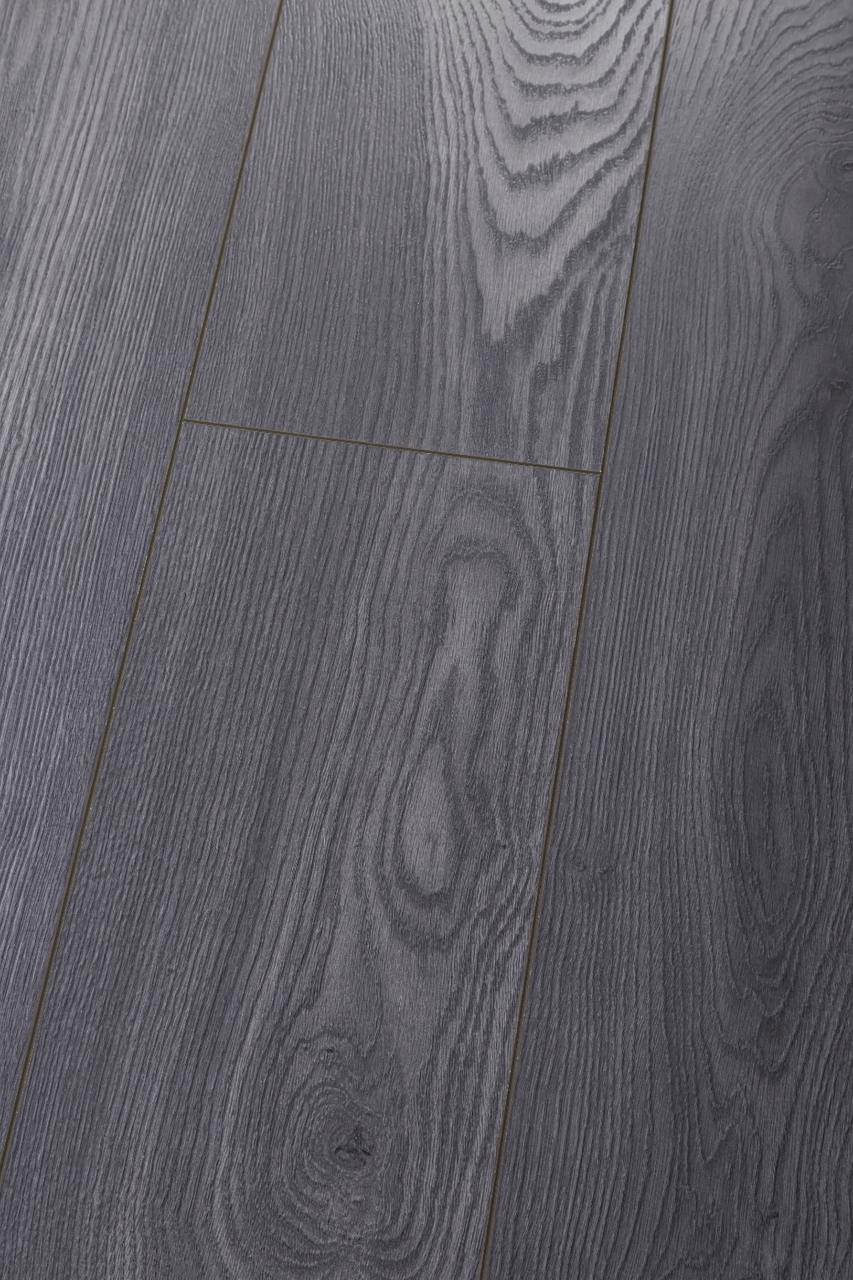 Panneau stratifié Chêne Palony – Premium Floor