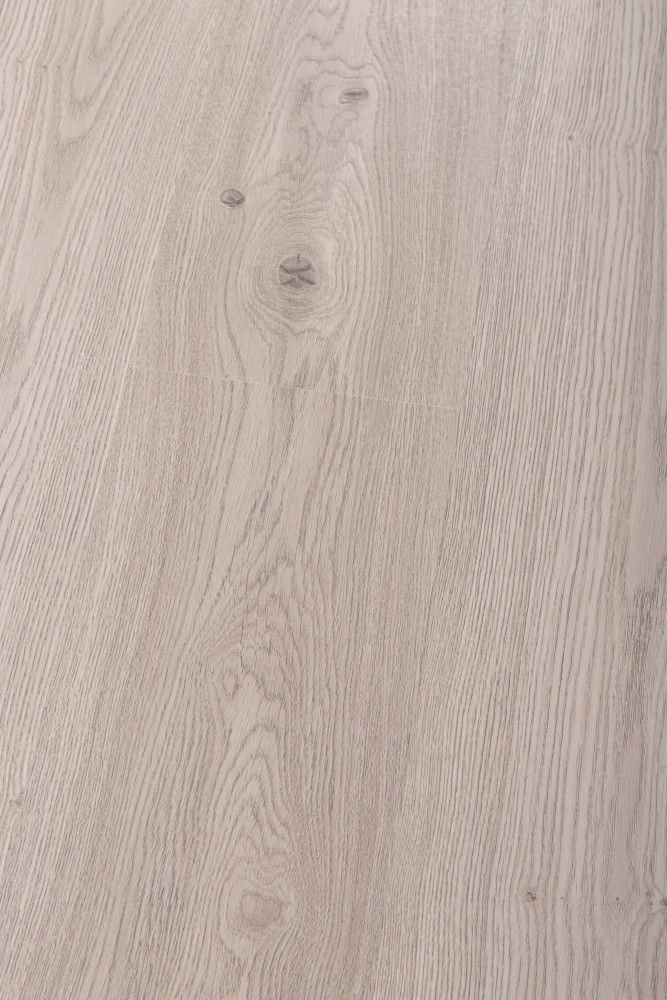 Panneau stratifié Chêne Beżowy – Premium Floor