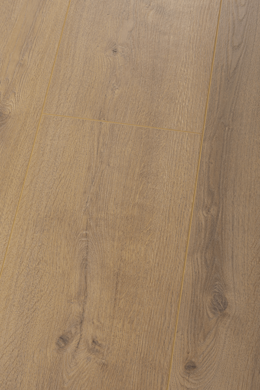 Panneau stratifié Chêne Stylowy – Premium Floor