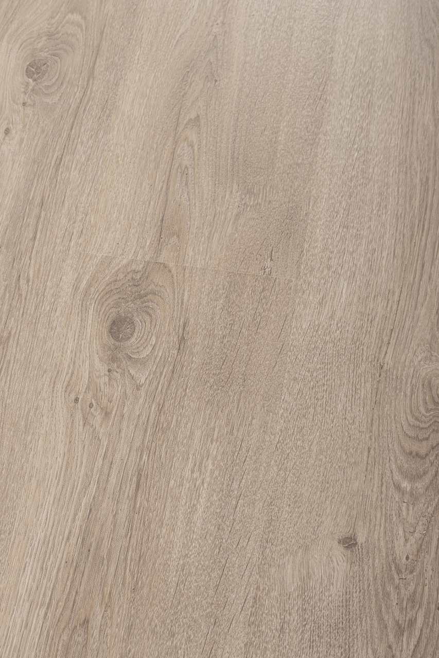 Panneau stratifié Chêne Naturalny – Premium Floor