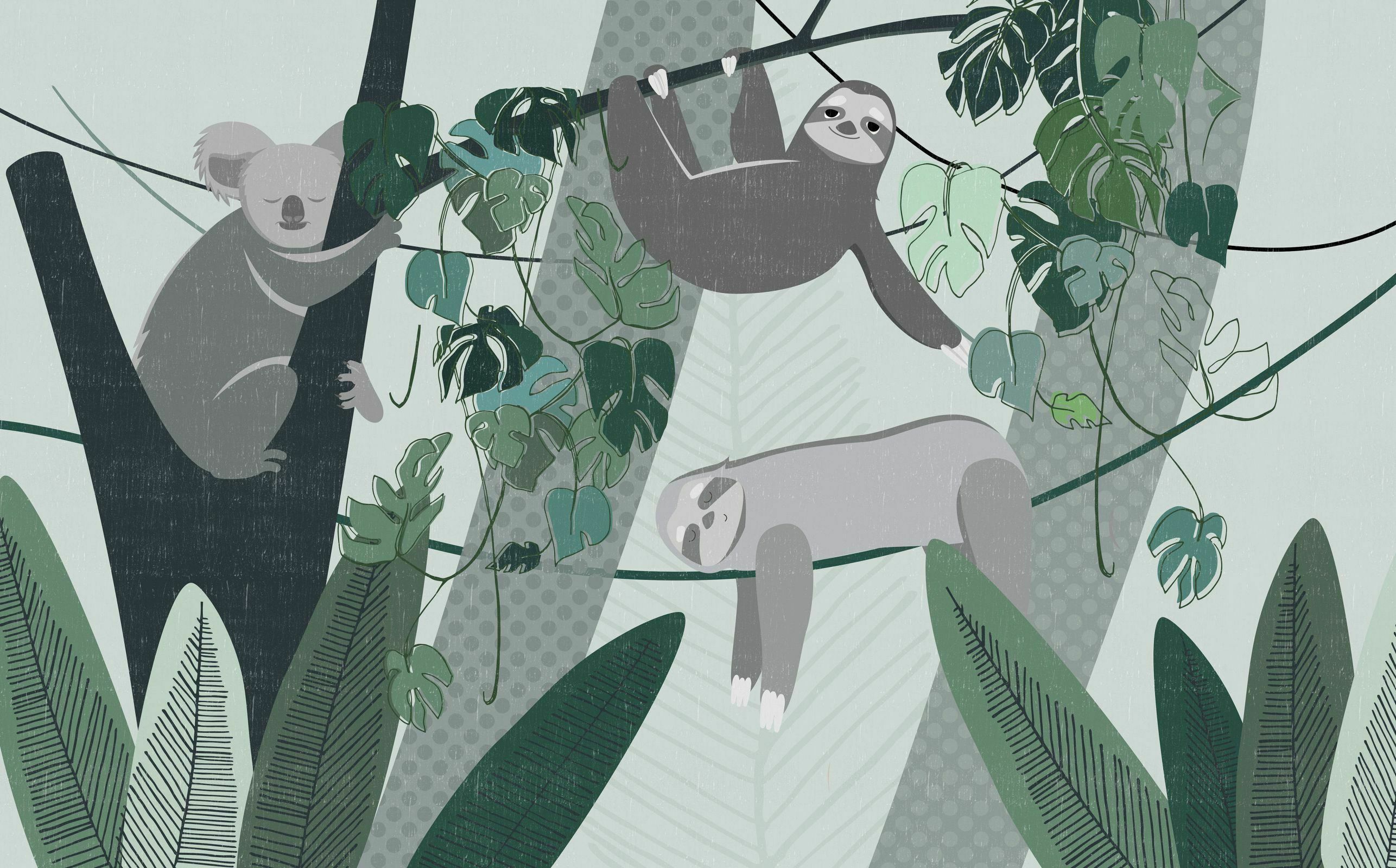 Jungle Stories: Lazy – Dekorami
