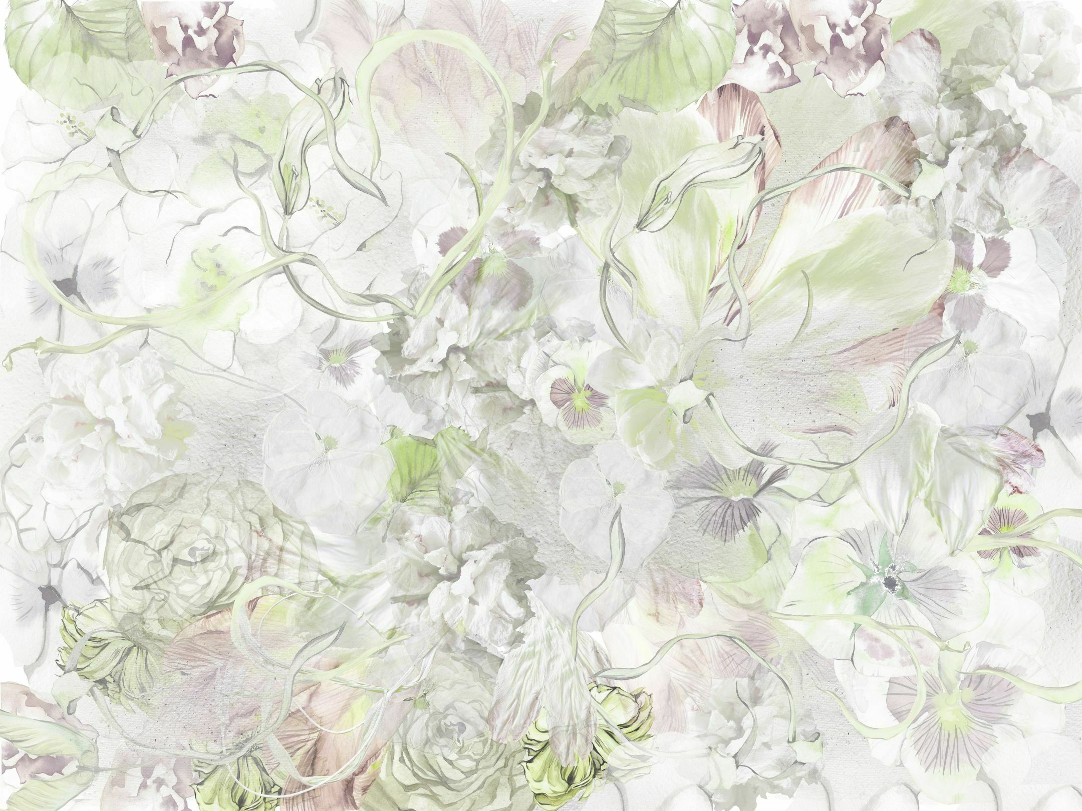 Nonna Rosa – Dekorami