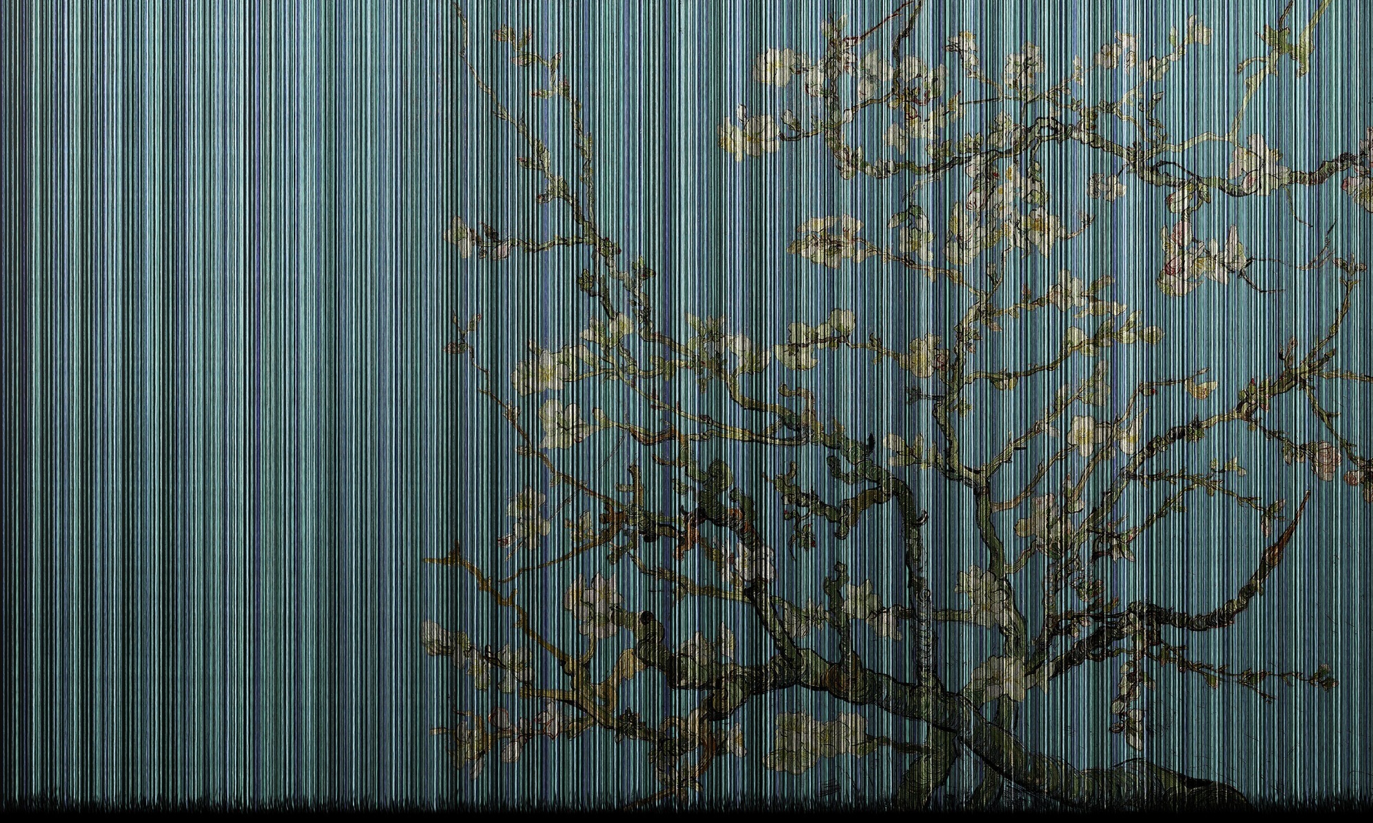 Rose Kamila – Dekorami
