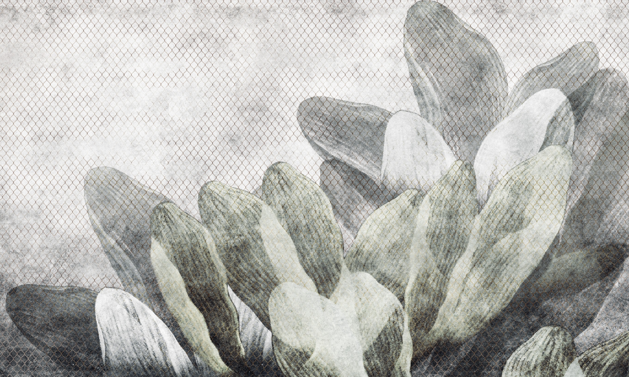 Sorell – Dekorami