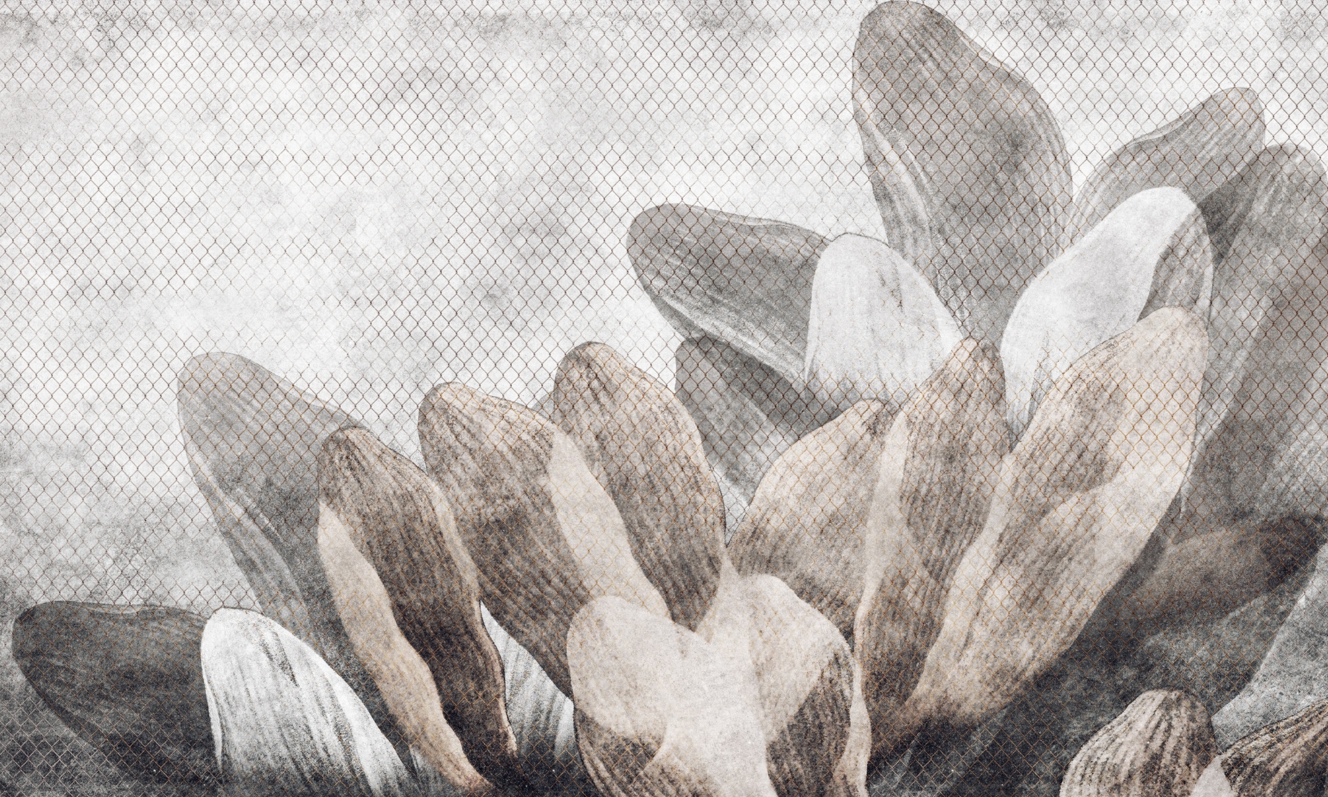 Sorell – Dekorami