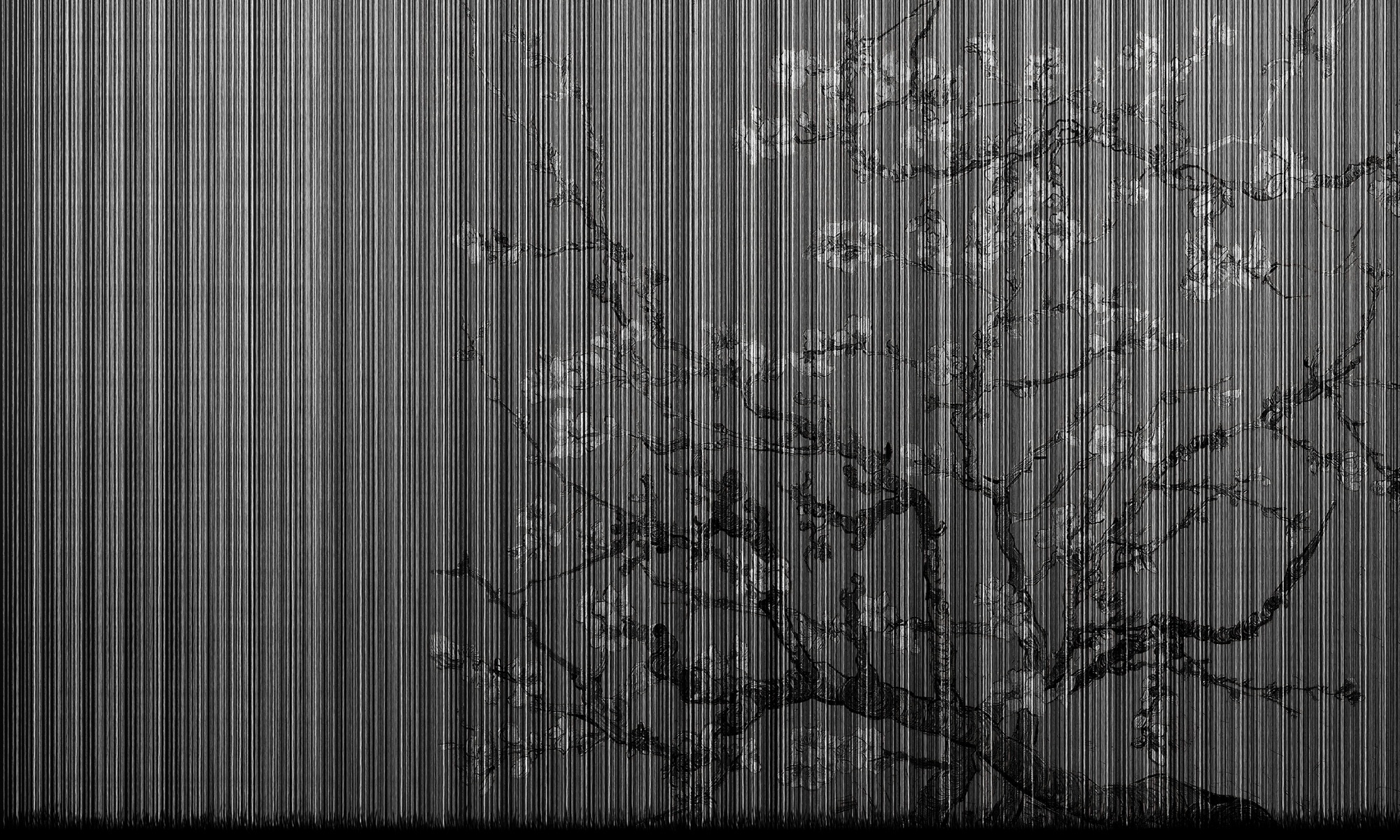 Almond Tree – Dekorami