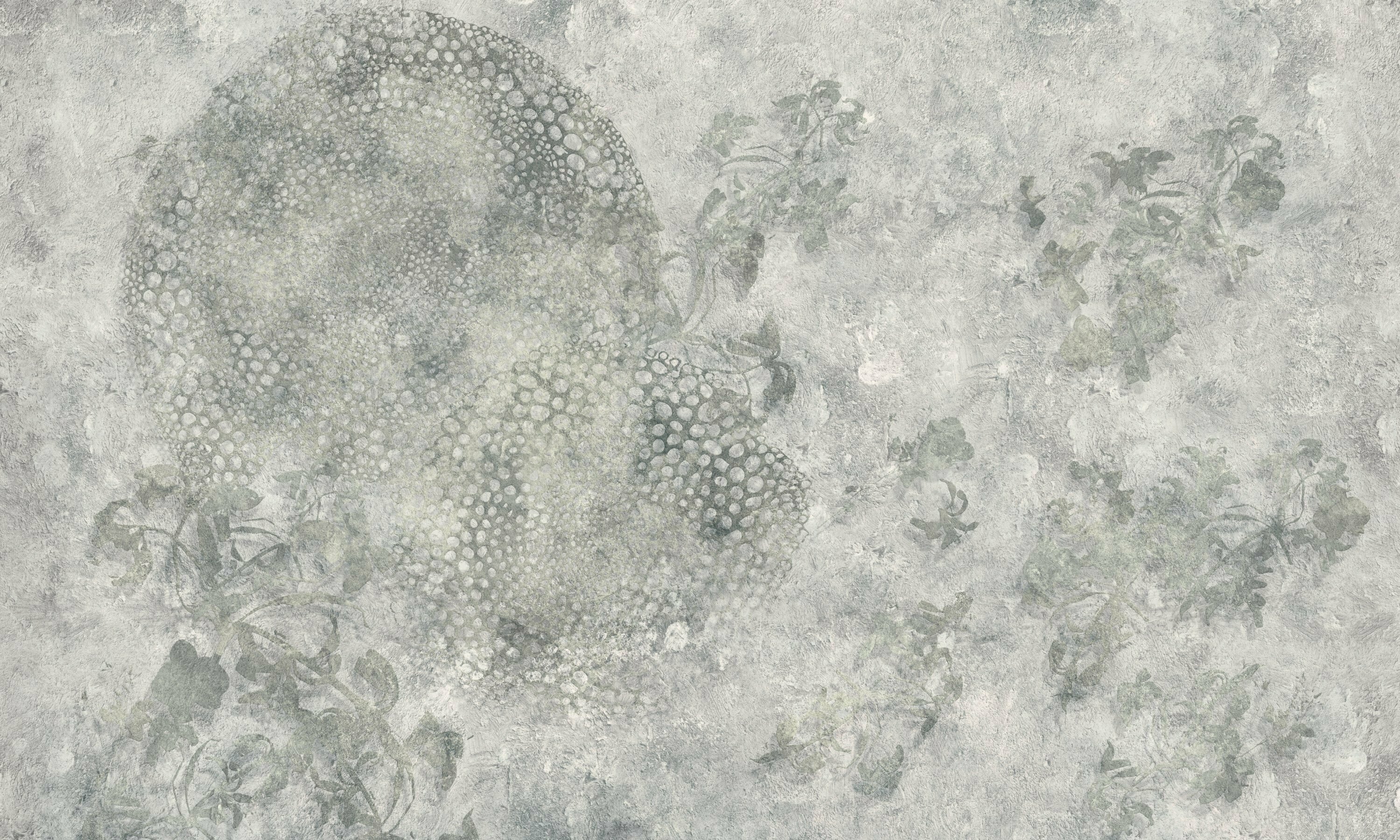 Abyss Shell – Dekorami