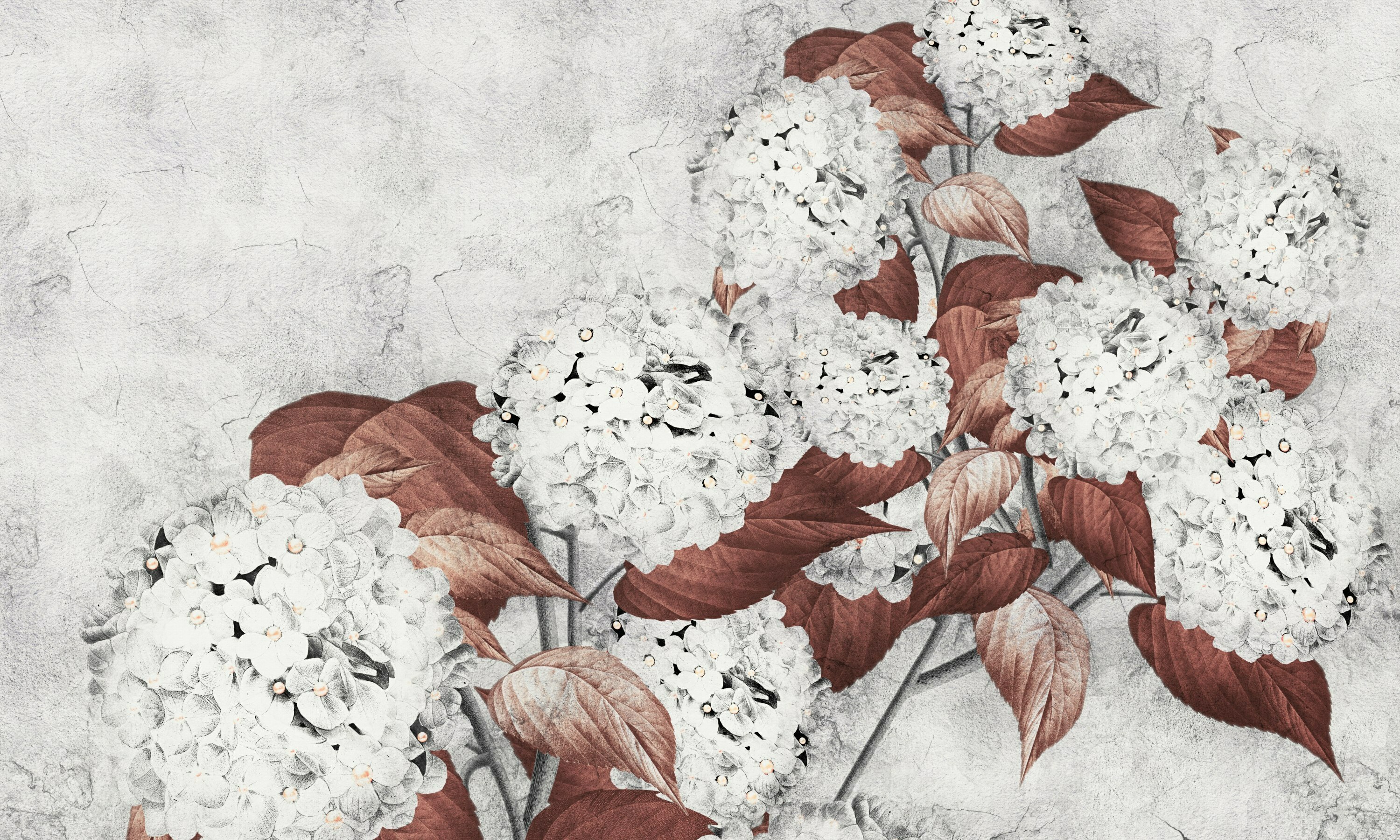 Hortensia – Dekorami