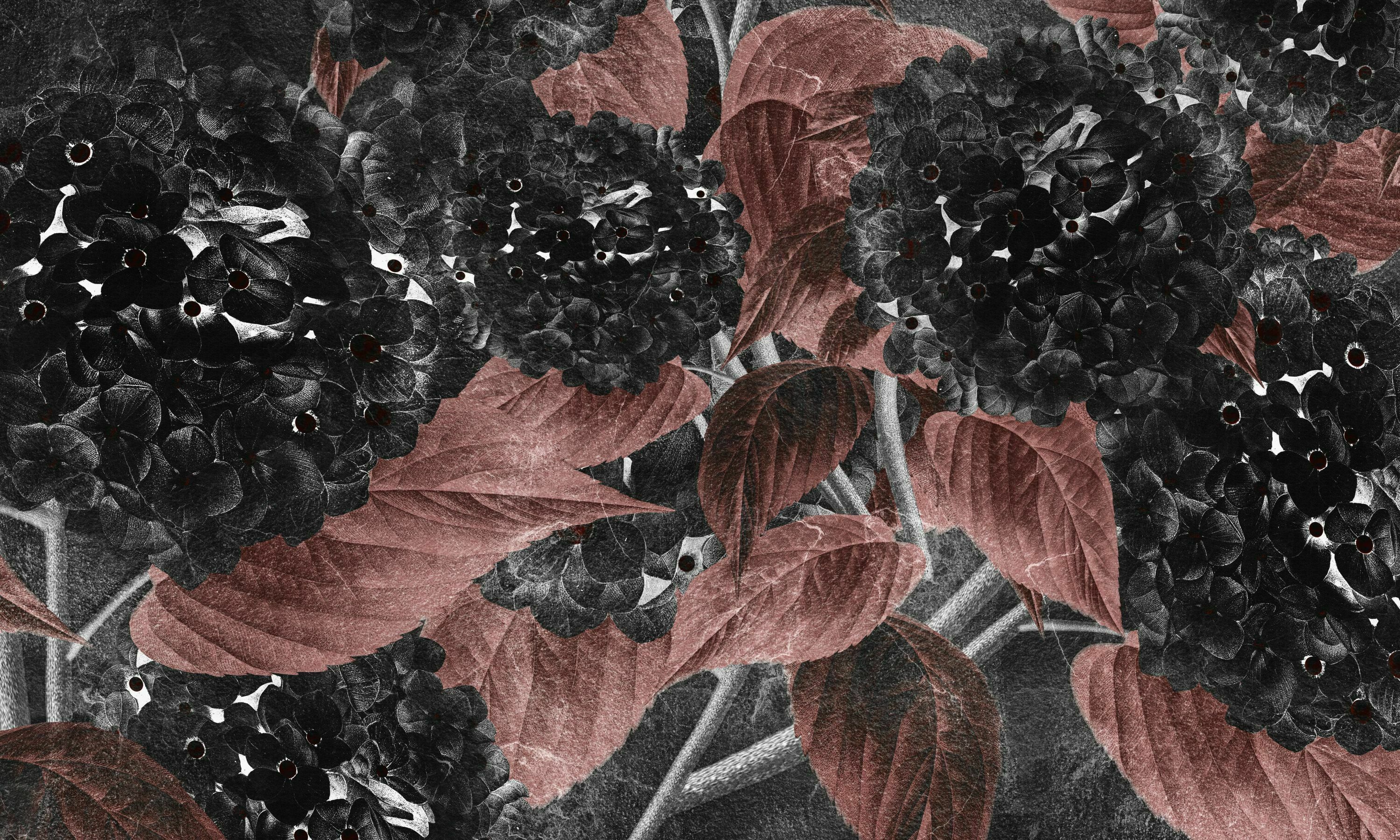 Hortensia – Dekorami