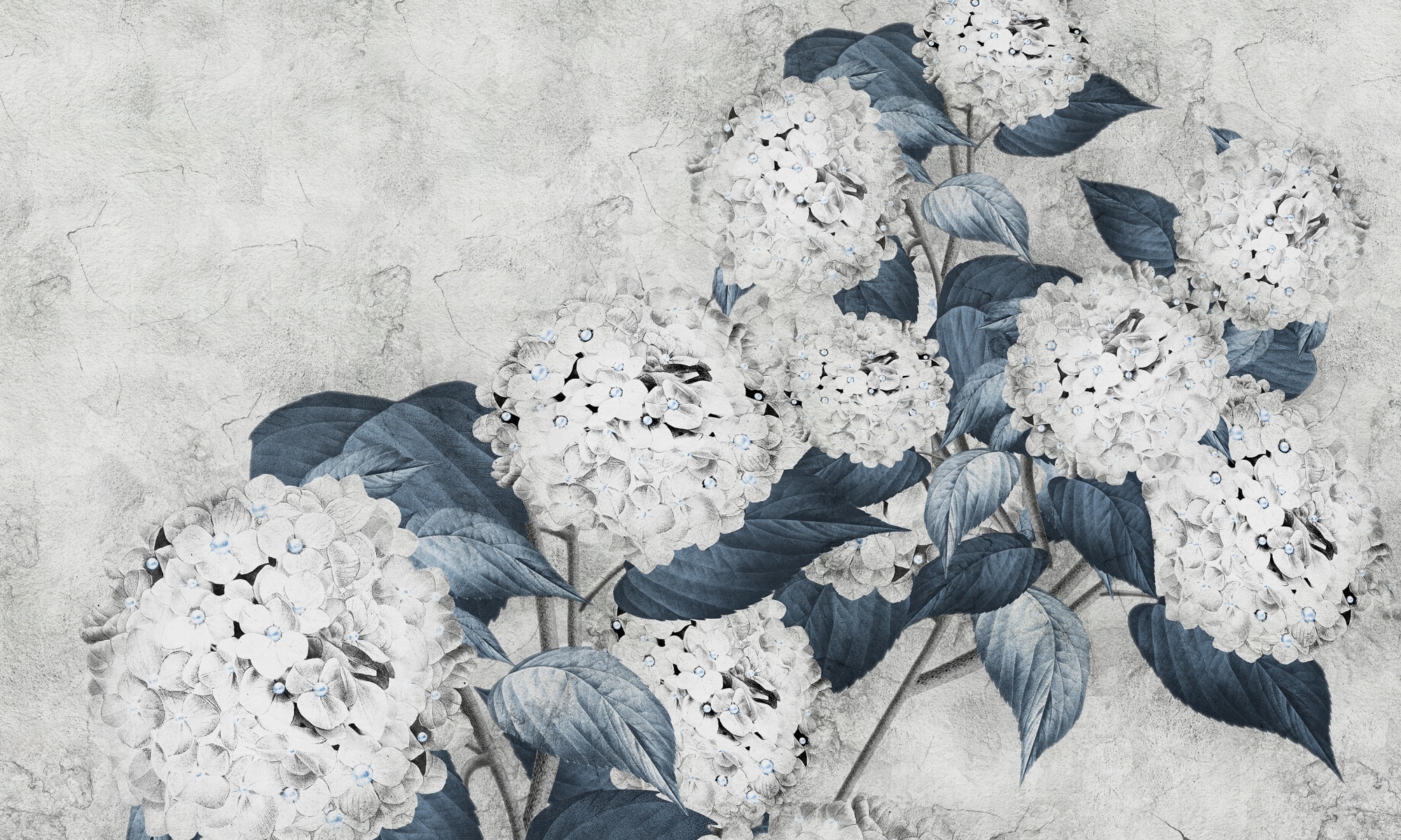 Hortensia – Dekorami