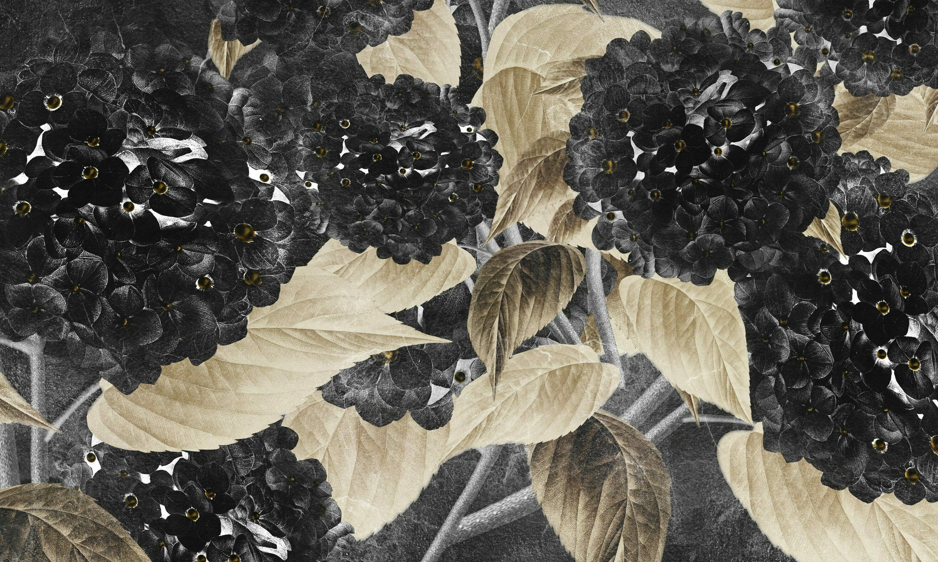 Hortensia – Dekorami
