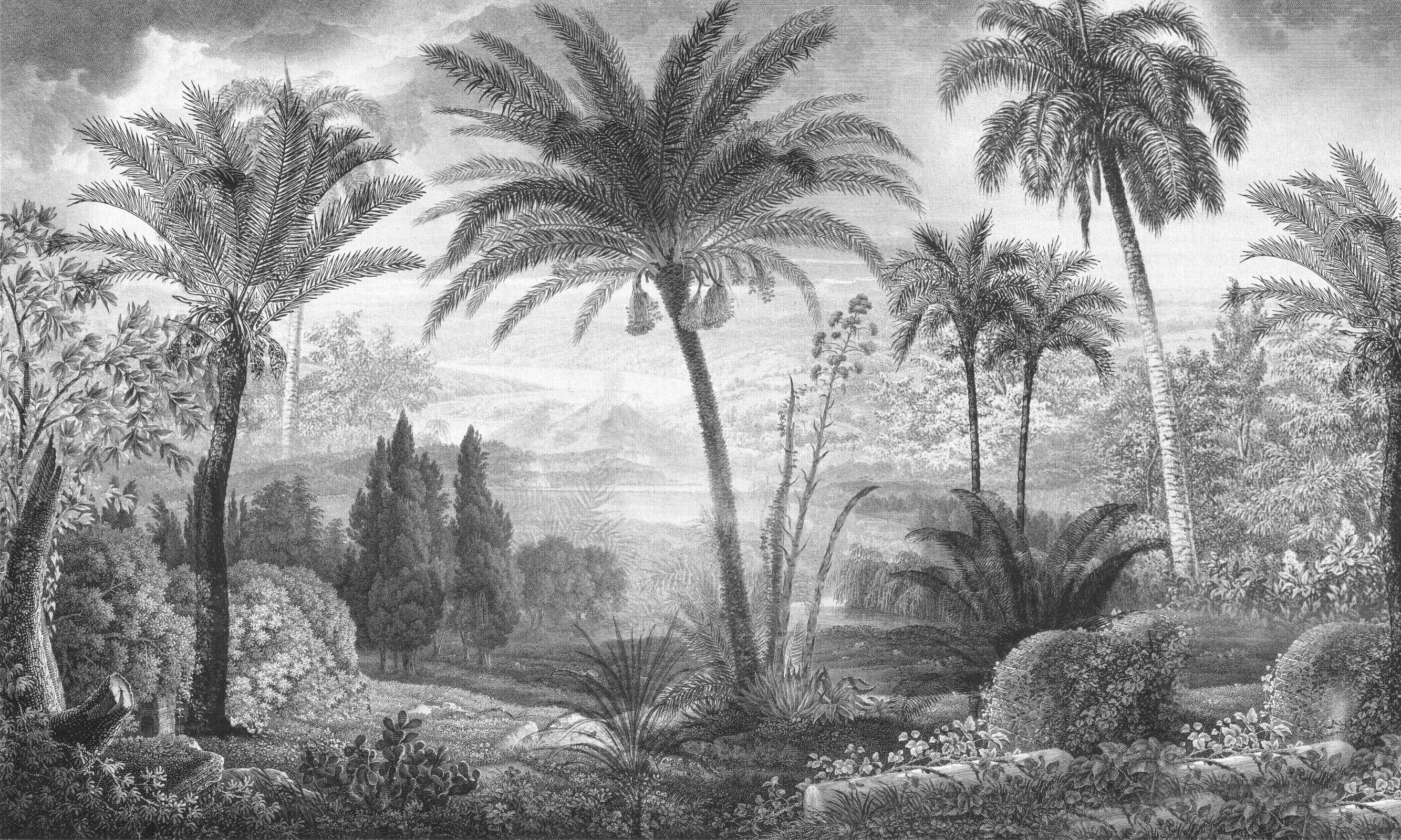 Tahiti – Dekorami