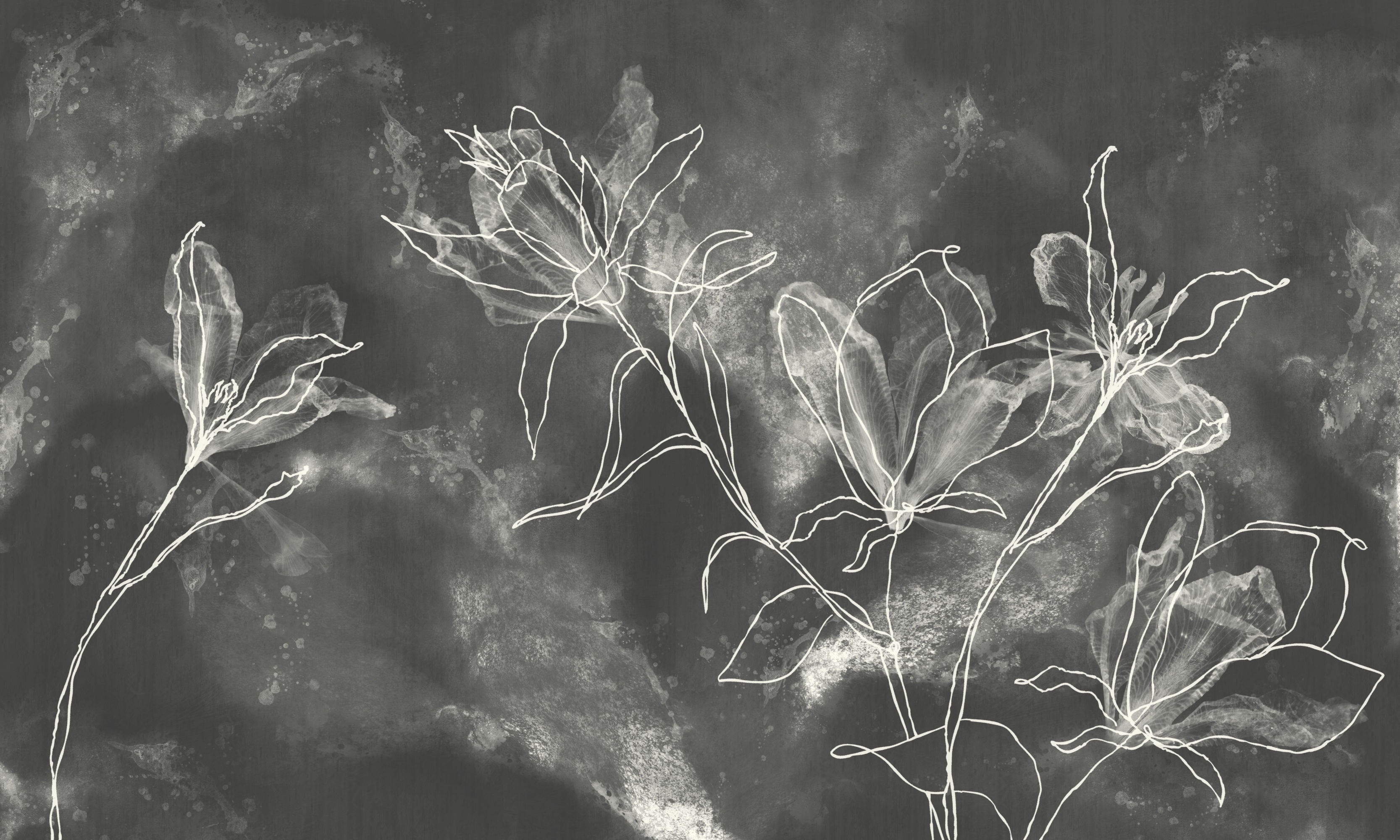 Irys – Dekorami