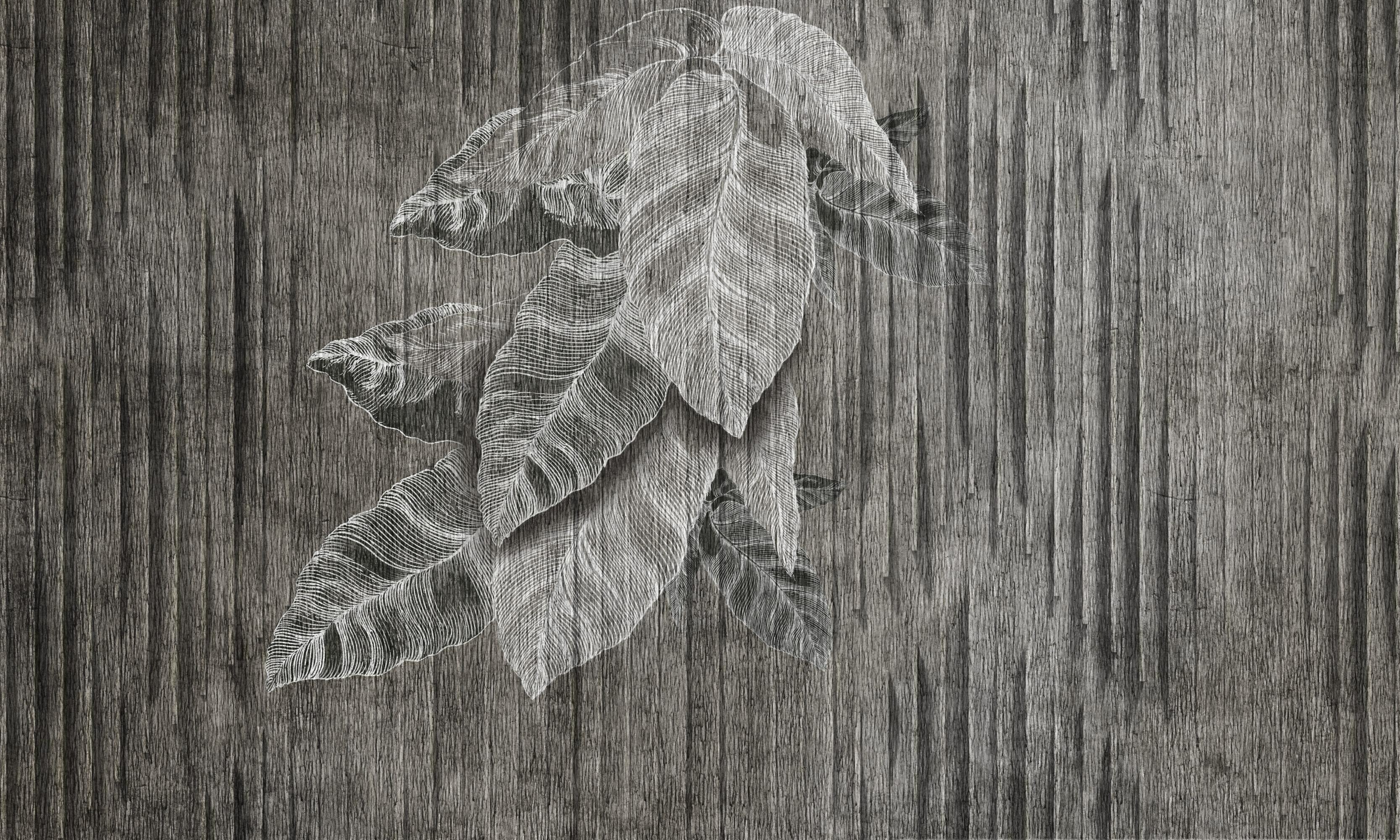 Mokuzai – Dekorami