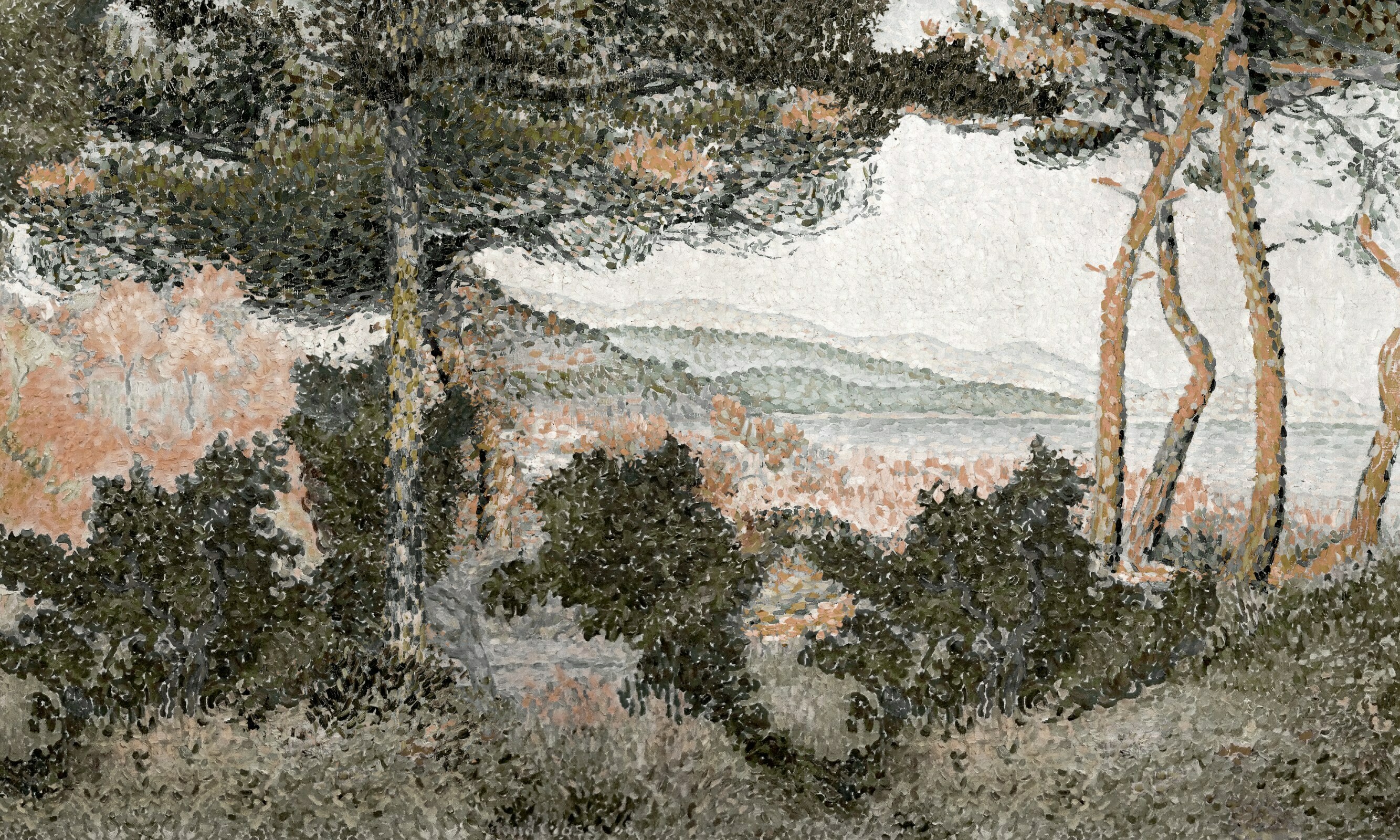 Fregata – Dekorami