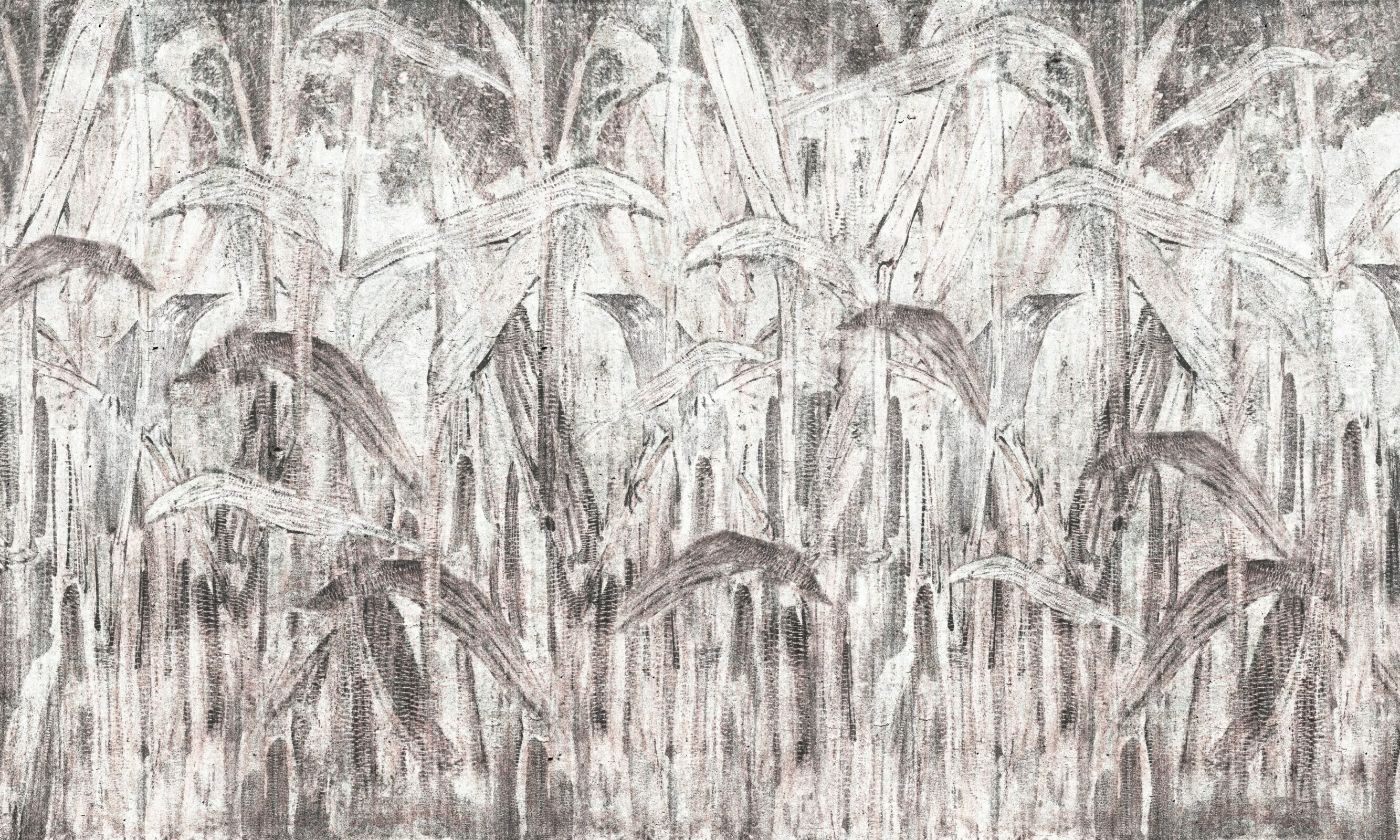 Rido – Dekorami