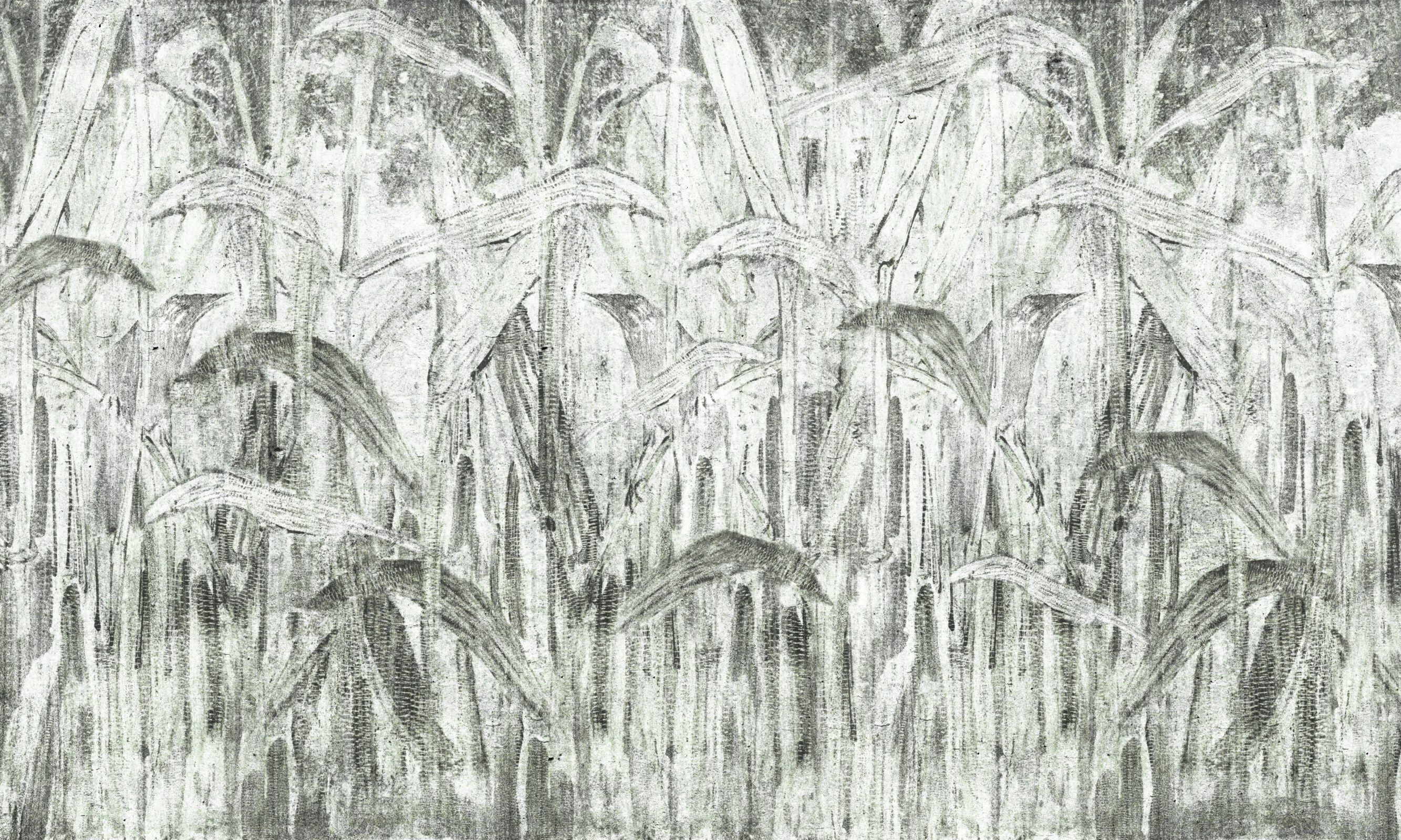 Rido – Dekorami