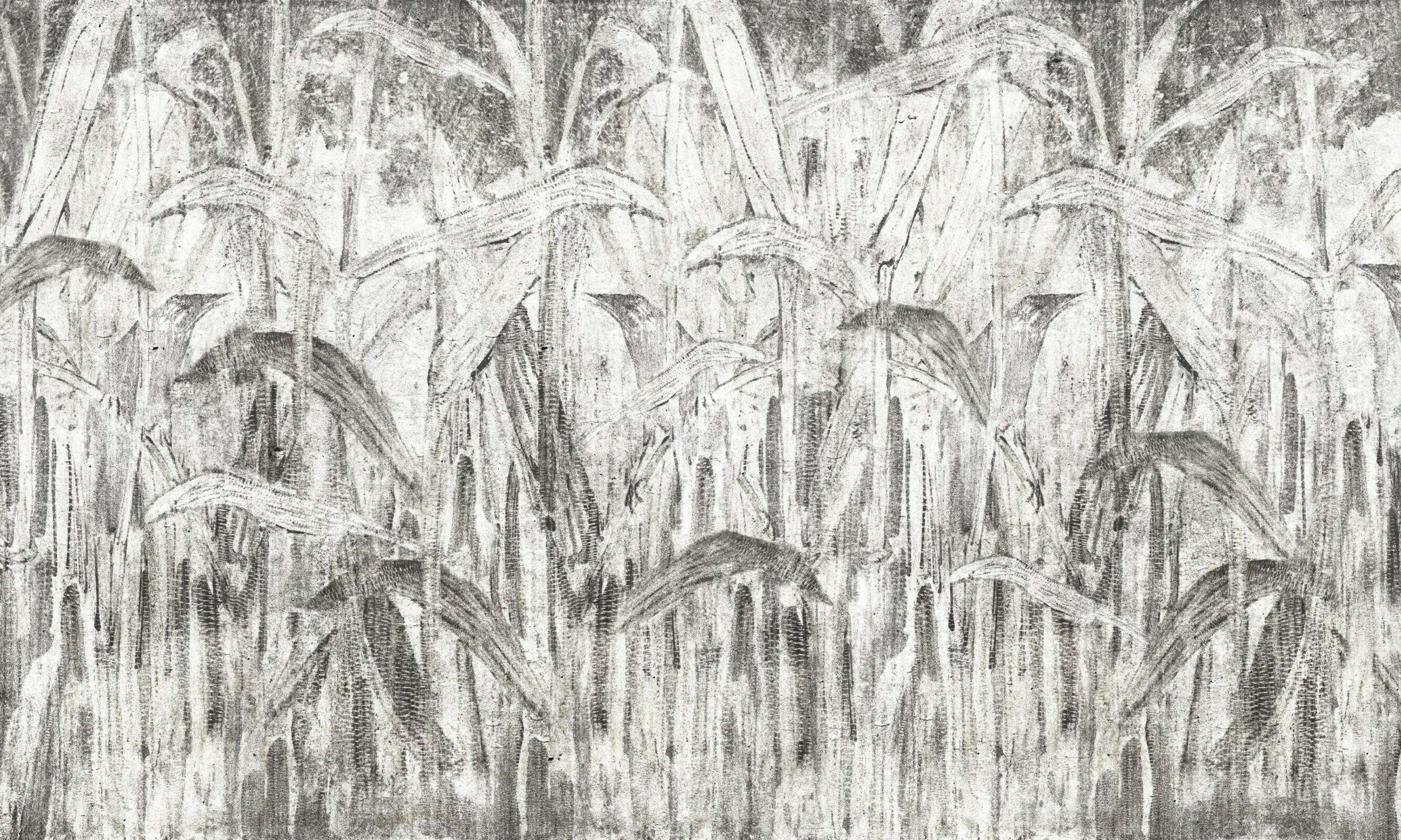 Rido – Dekorami