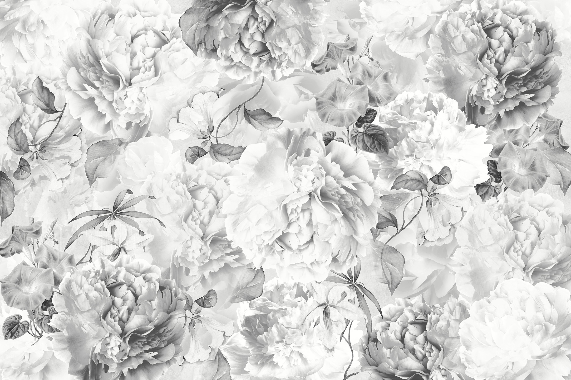 Five o'Clock – Dekorami