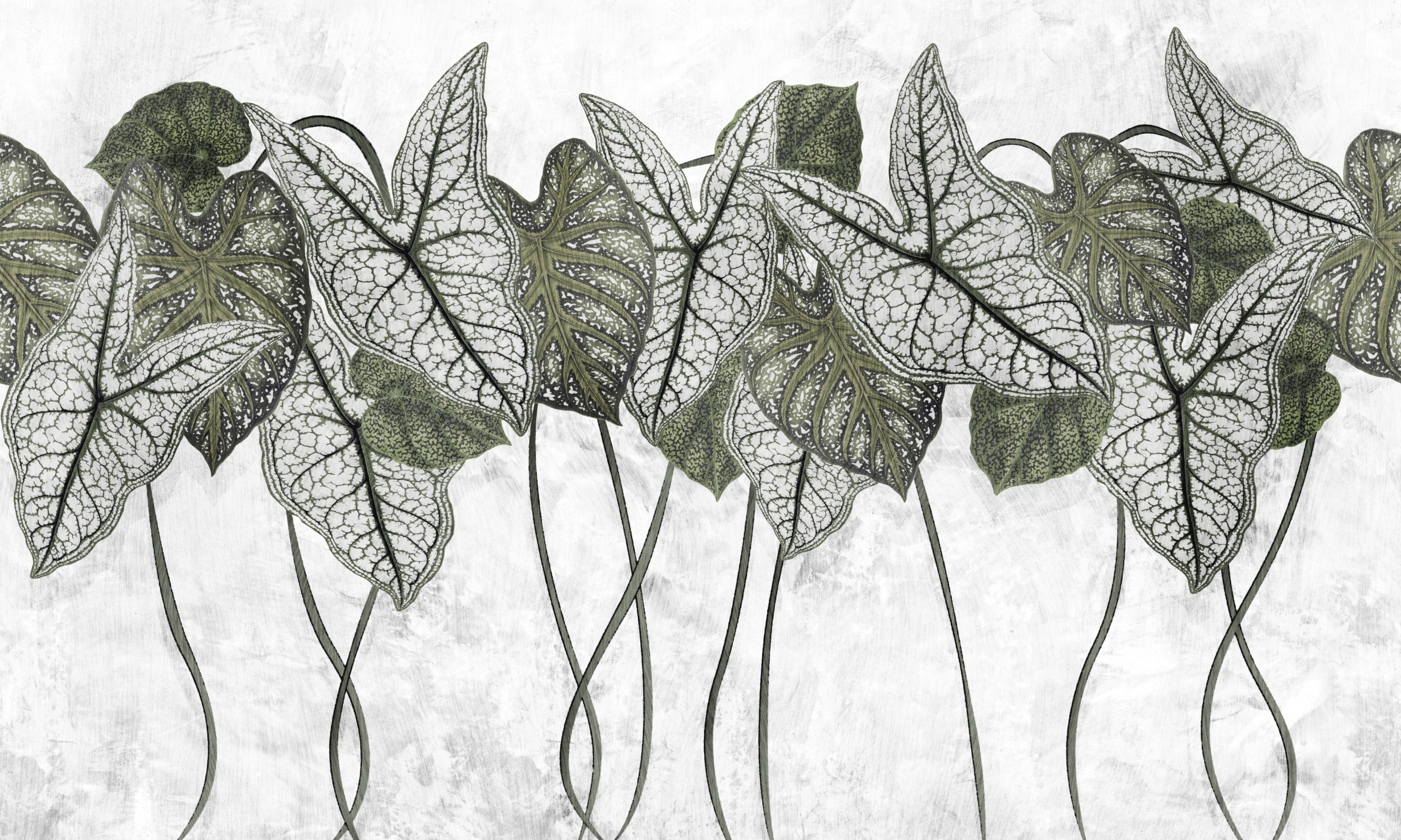 Samba Foliage – Dekorami
