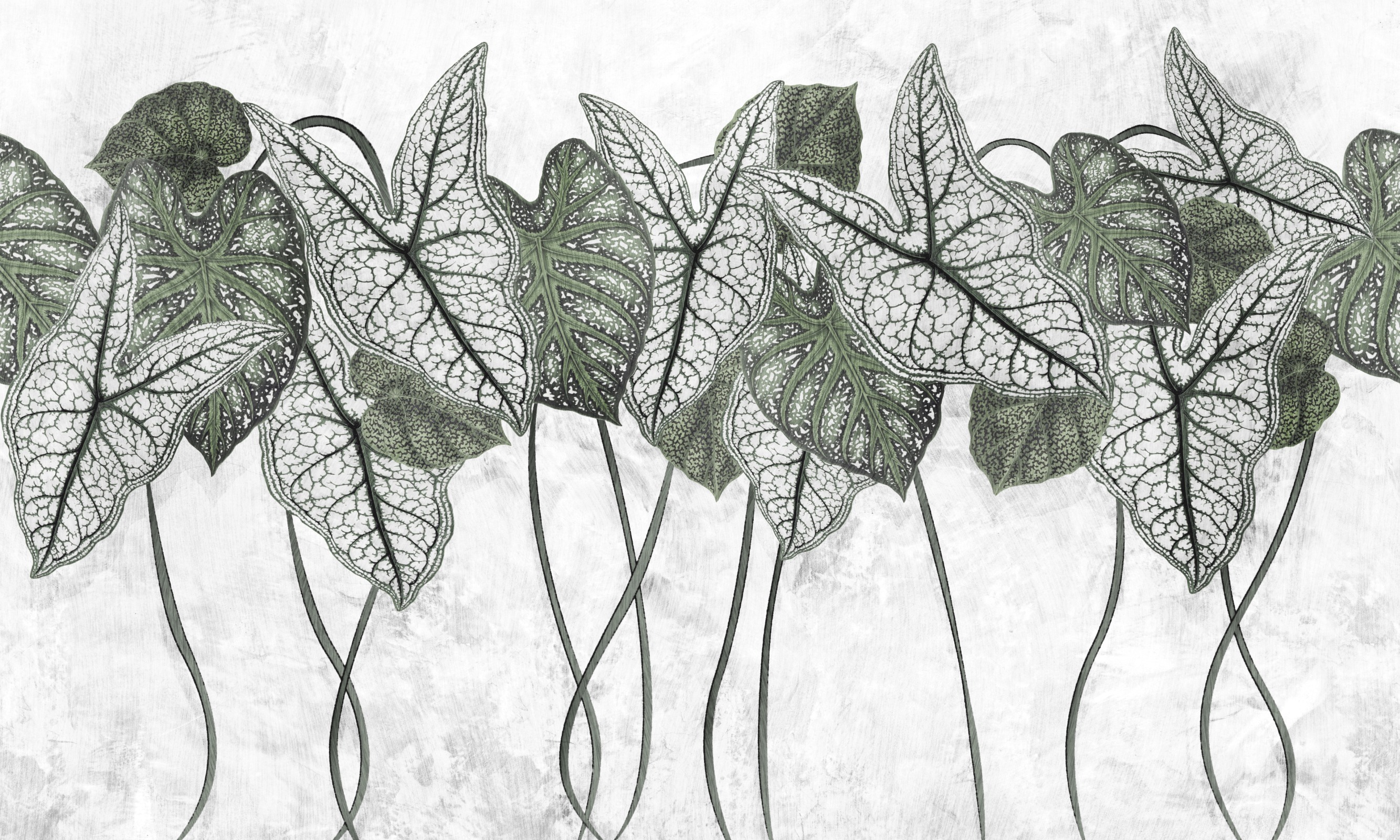 Samba Foliage – Dekorami