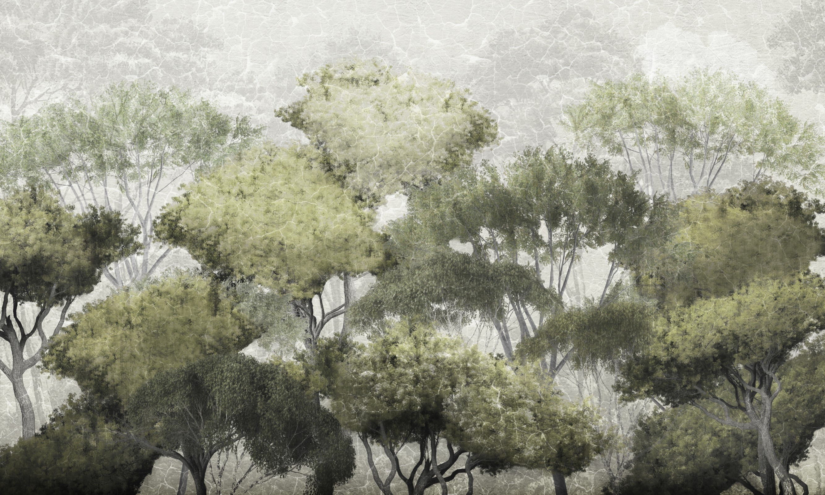 Treetop Walk – Dekorami