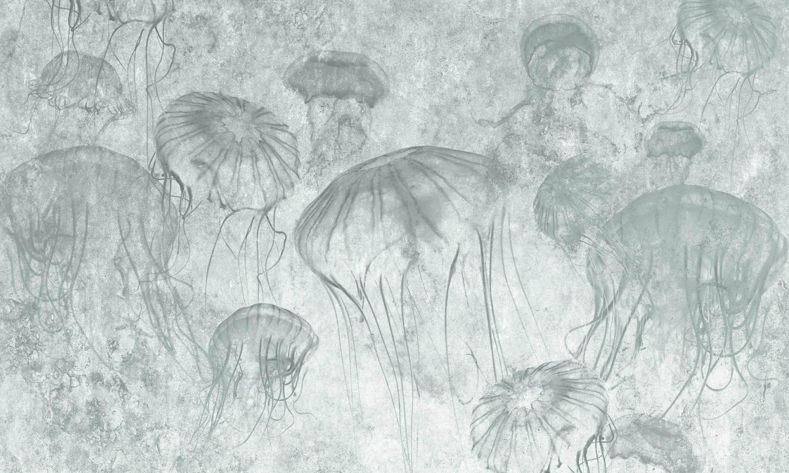 Medusa – Dekorami