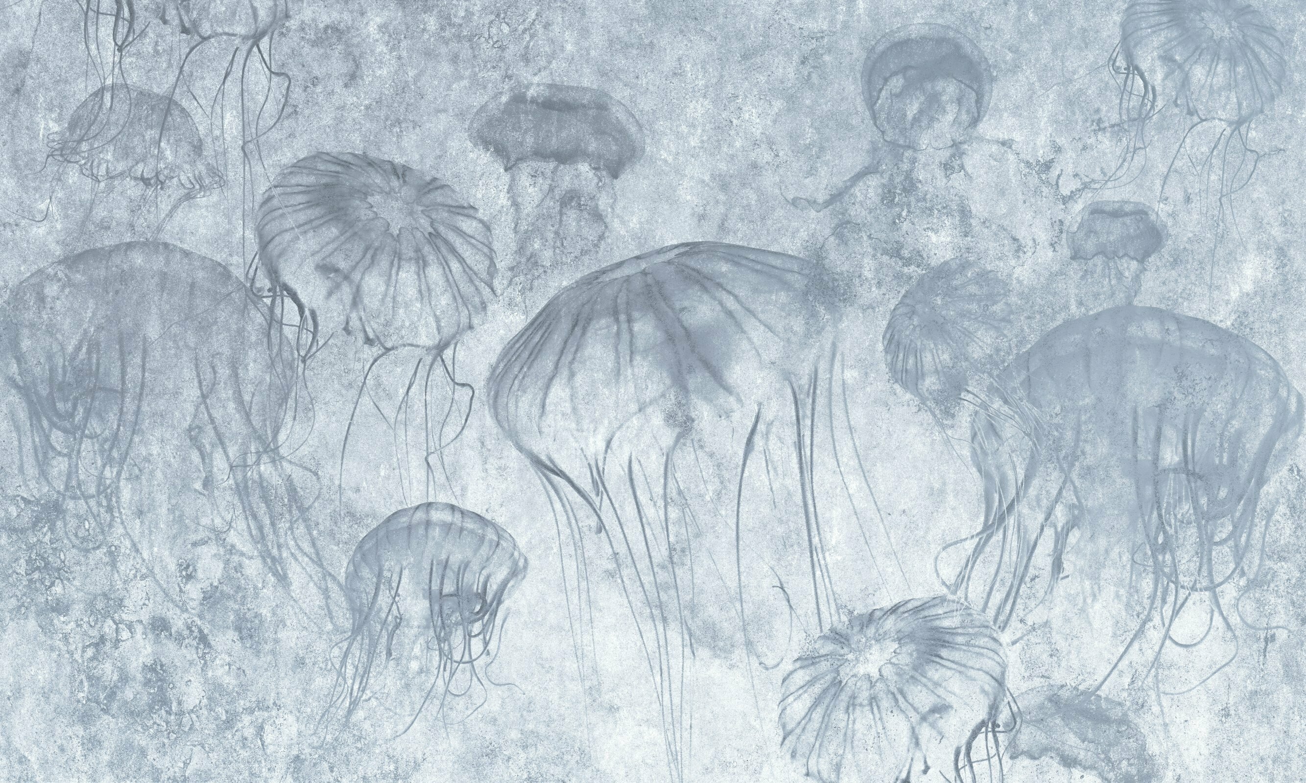 Medusa – Dekorami