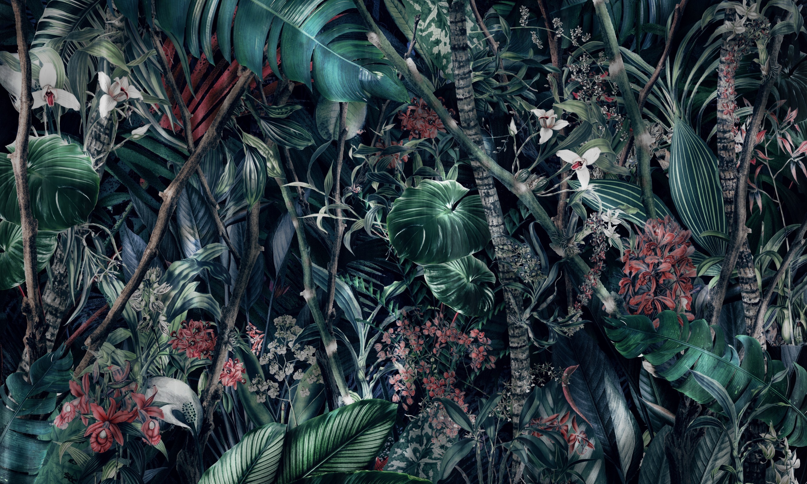 Vintage Tropics – Dekorami