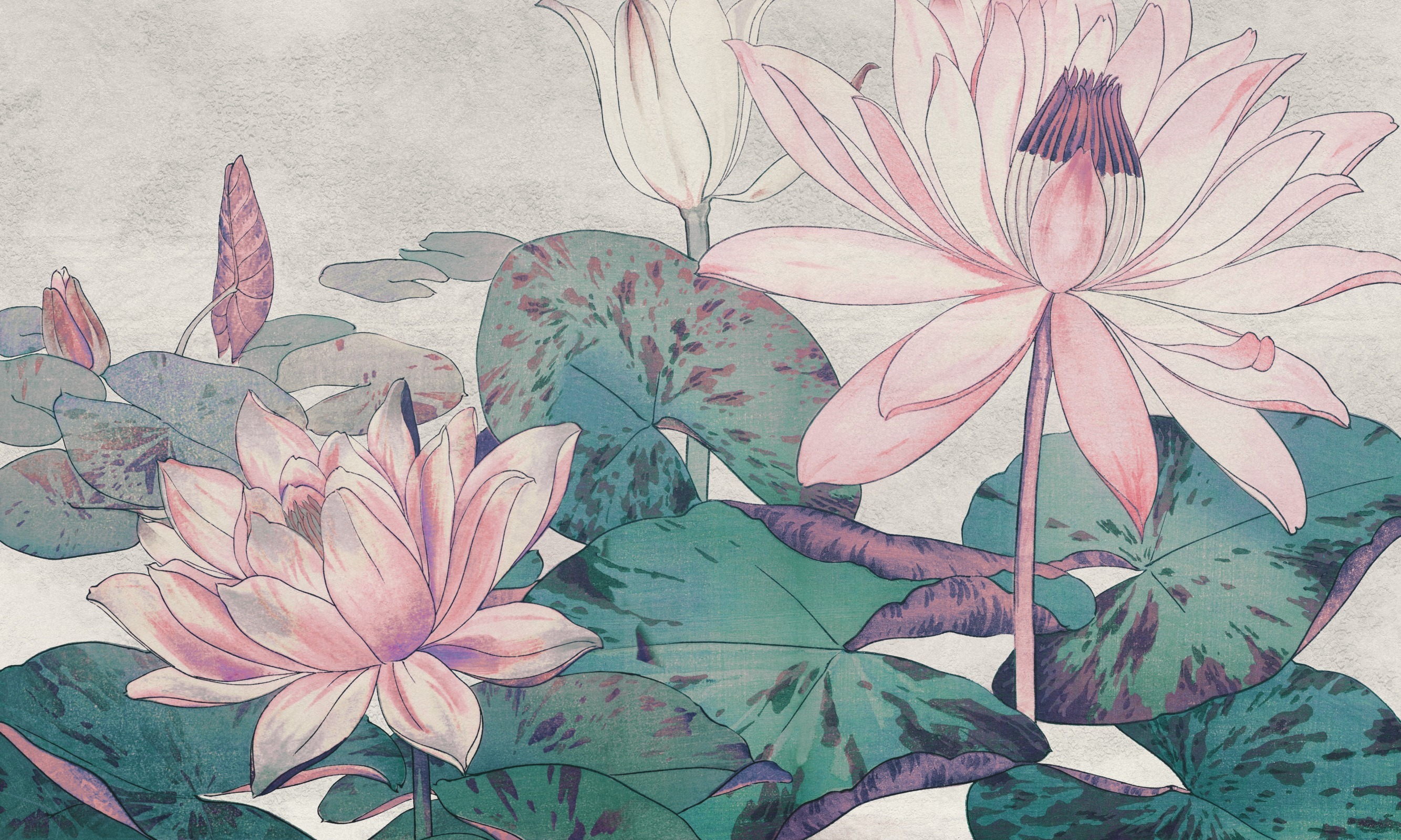 Hasu – Dekorami