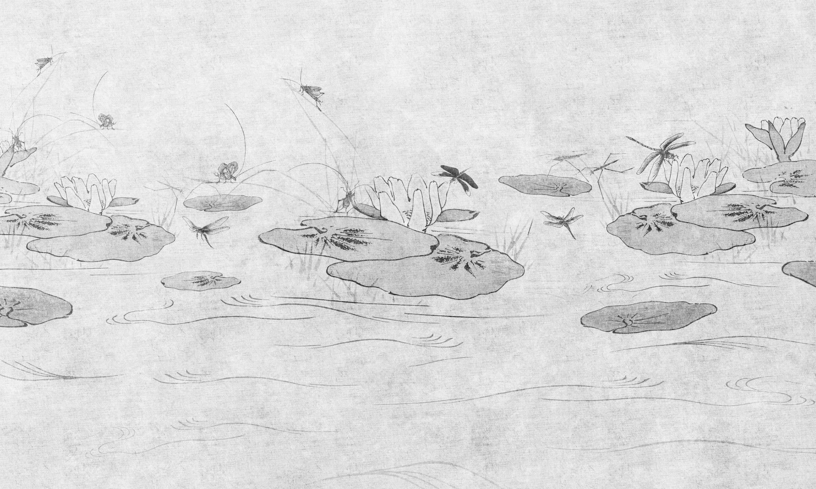 Lilly Pond – Dekorami