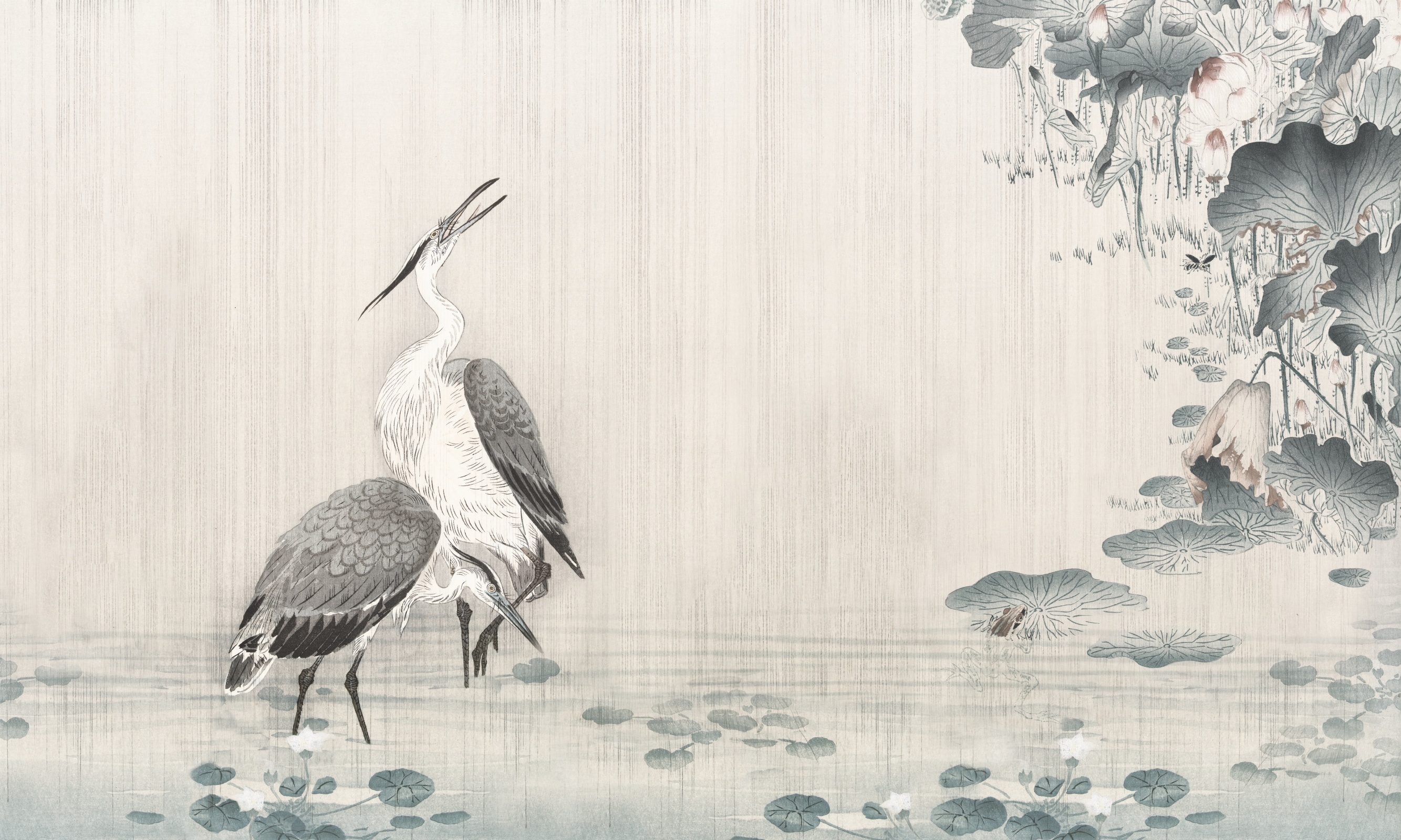 Mizūmi – Dekorami