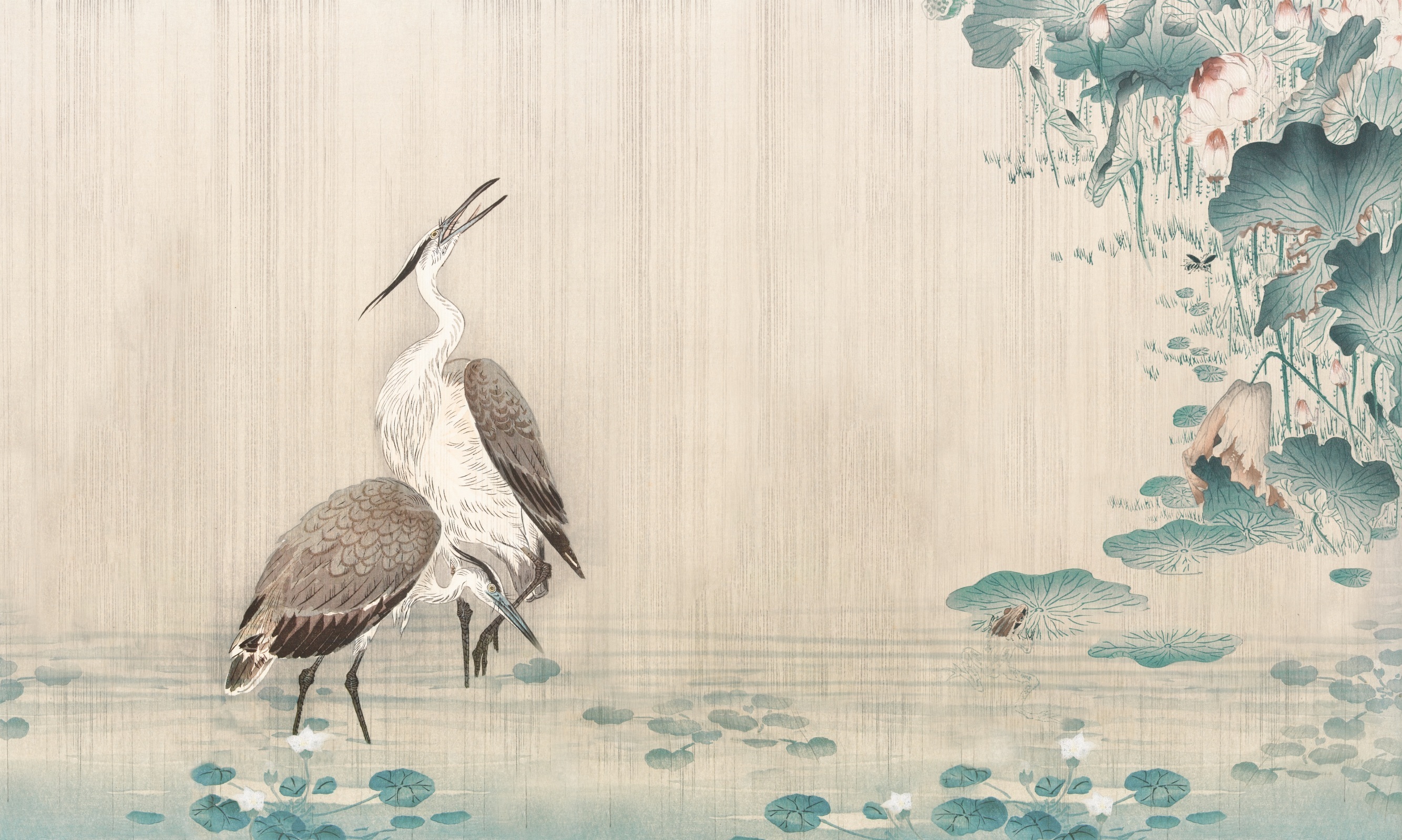 Mizūmi – Dekorami