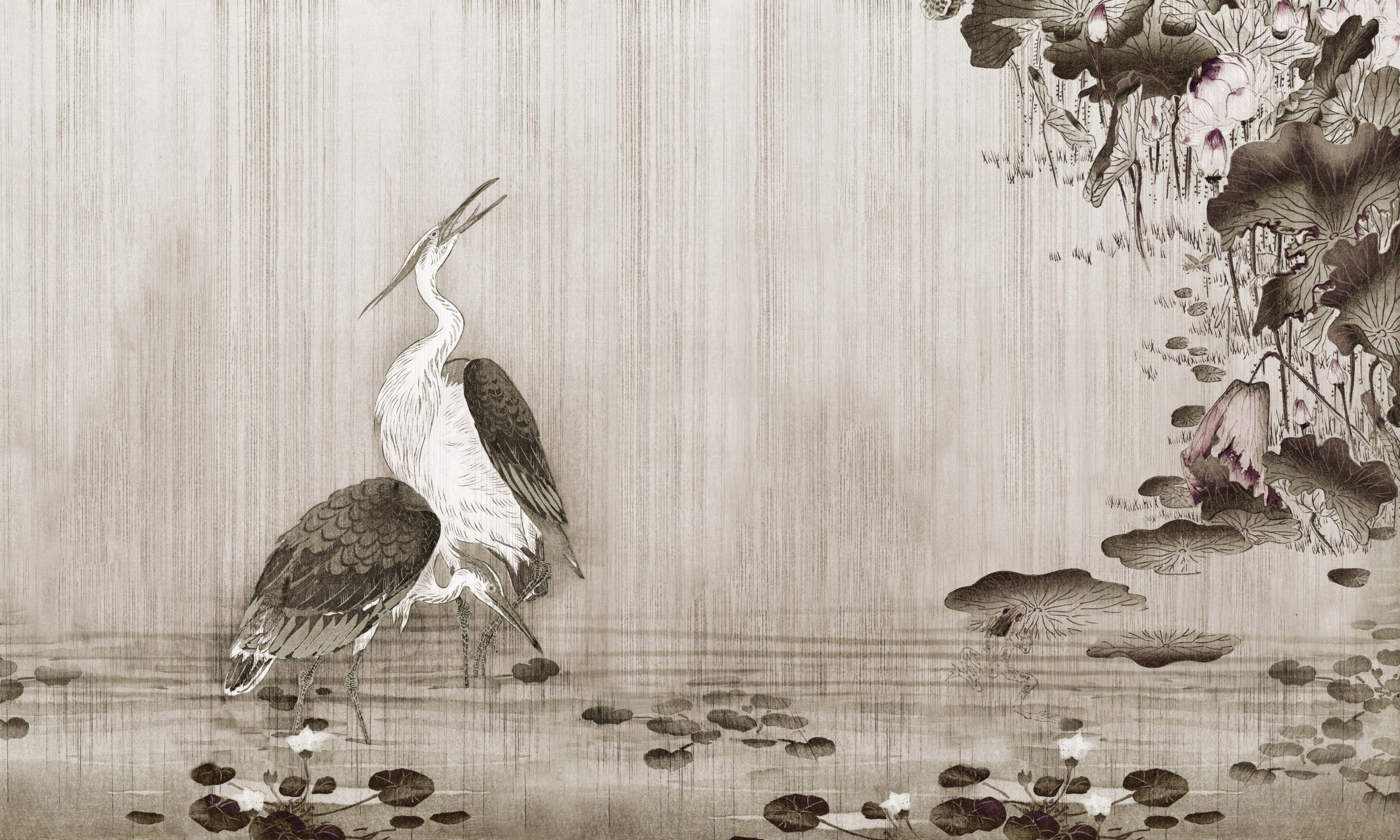 Mizūmi – Dekorami