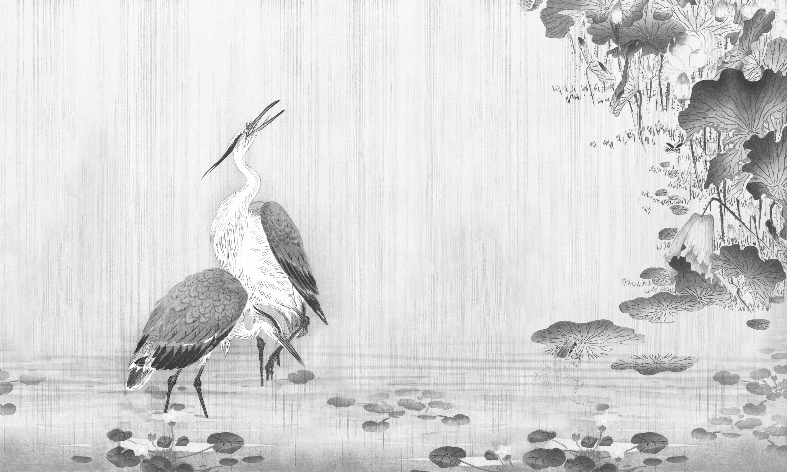 Mizūmi – Dekorami