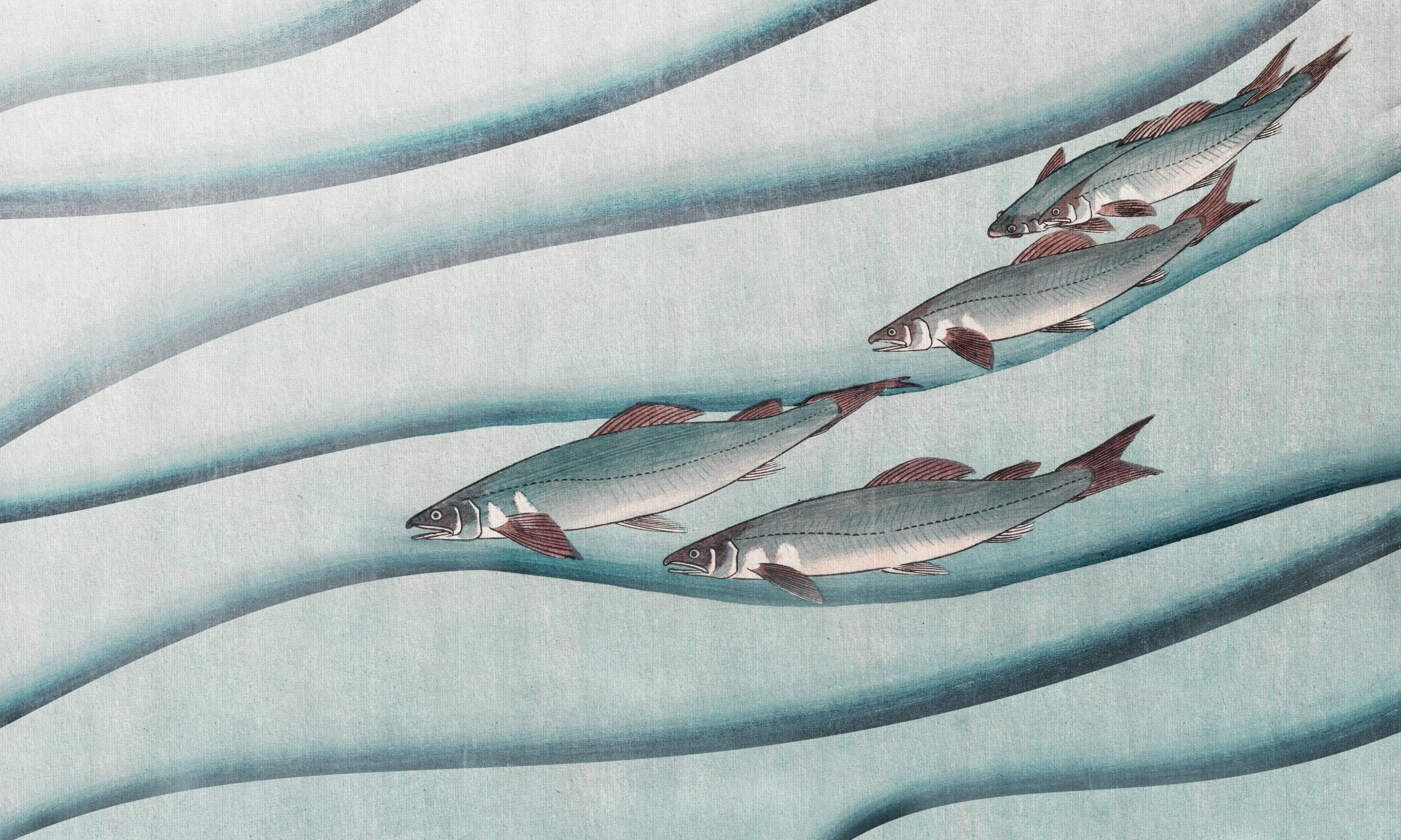NiNoru – Dekorami