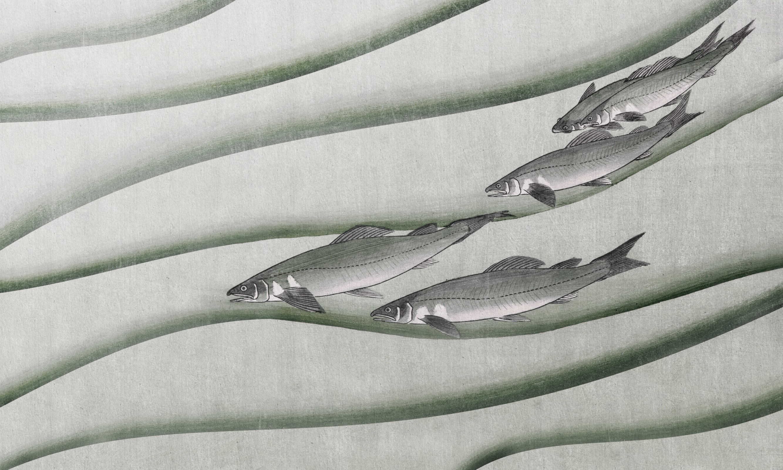 NiNoru – Dekorami