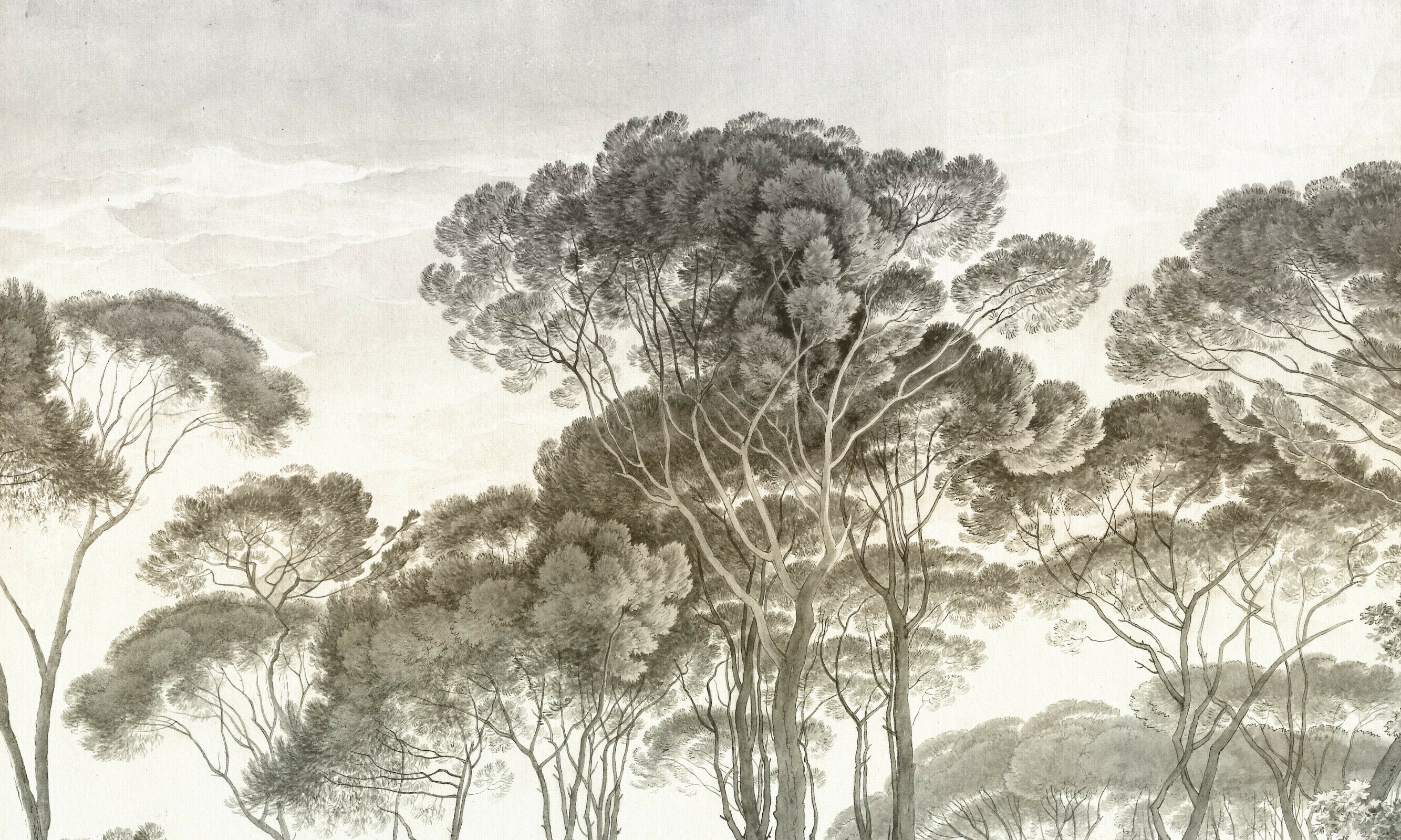Pino Day – Dekorami