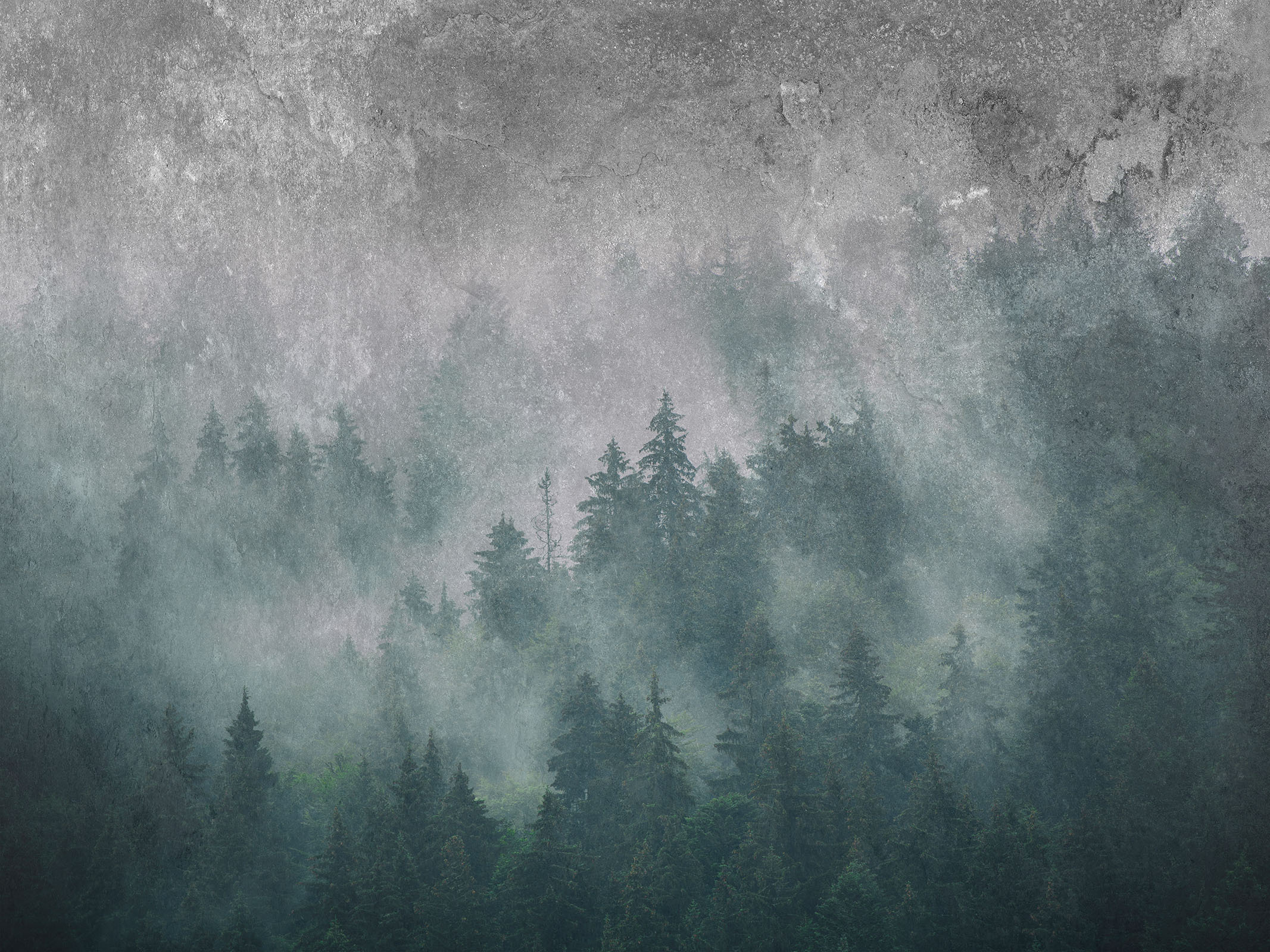 La Veduta Forestale – Dekorami