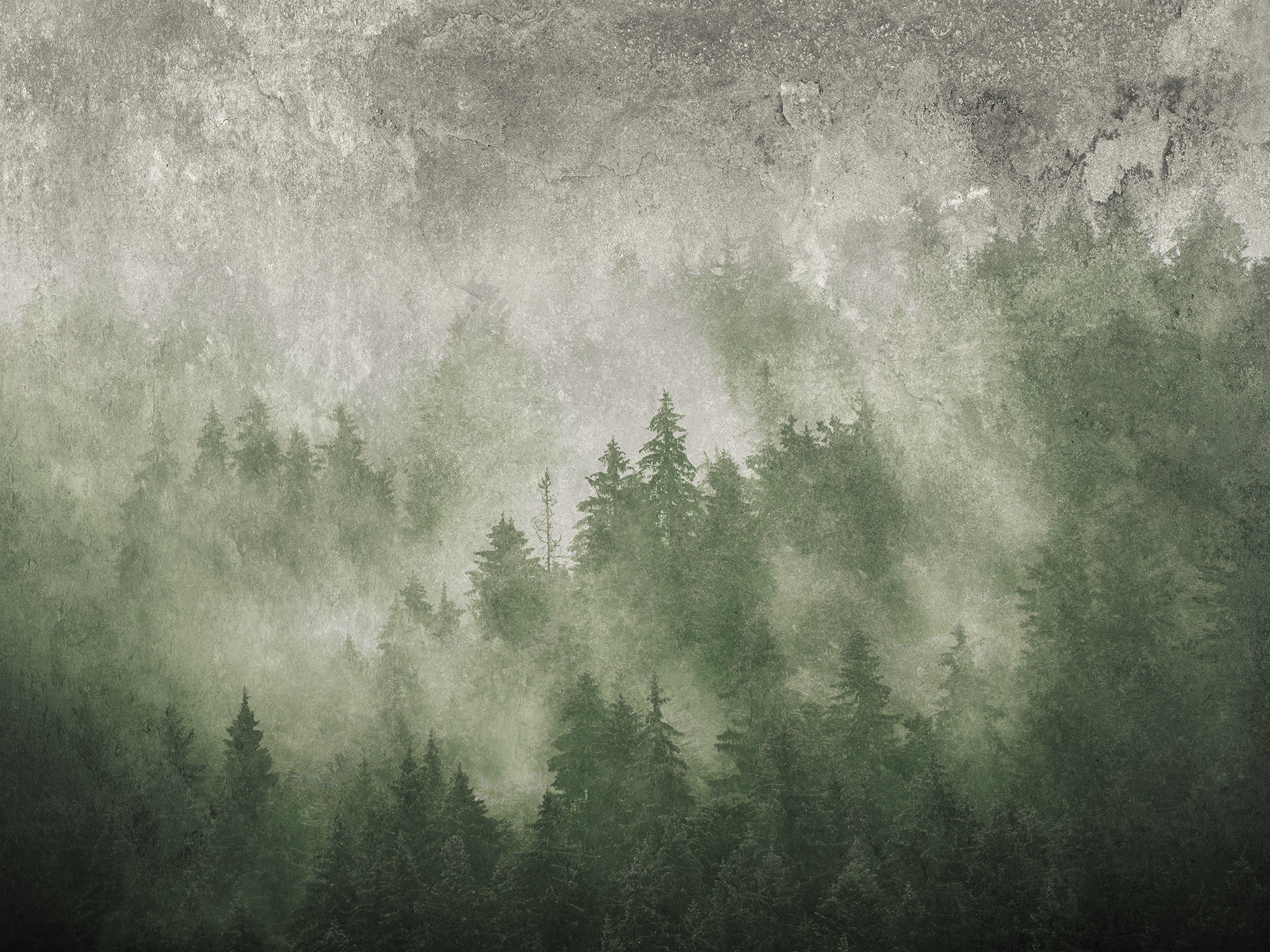 La Veduta Forestale – Dekorami