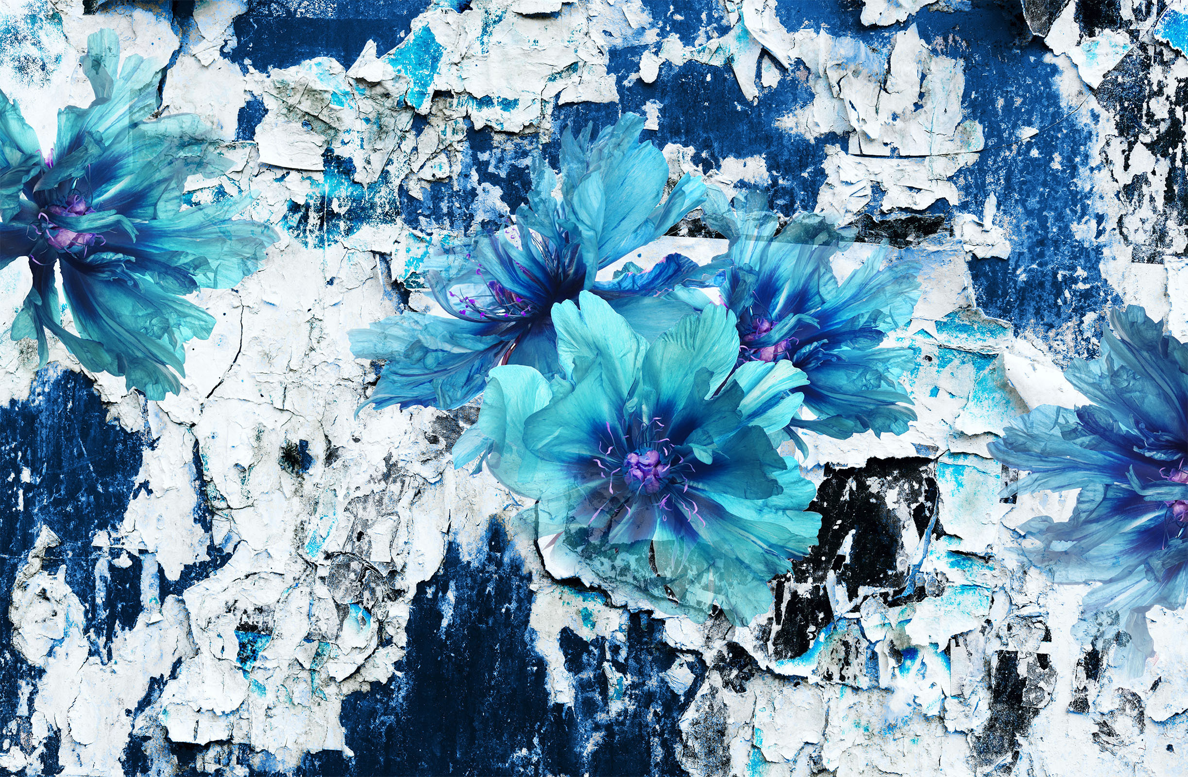 WRAP – Dekorami