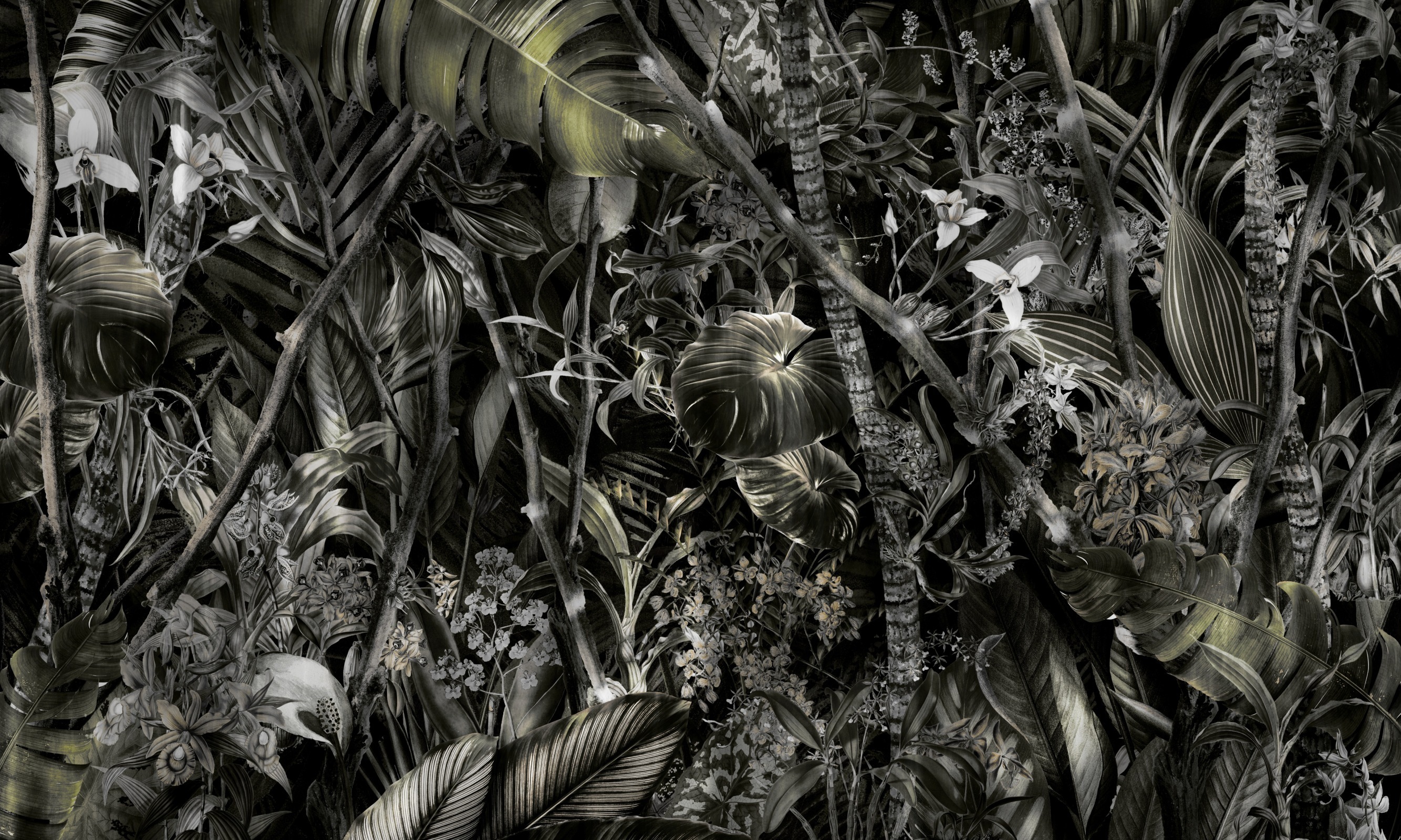 Amazonia – Dekorami
