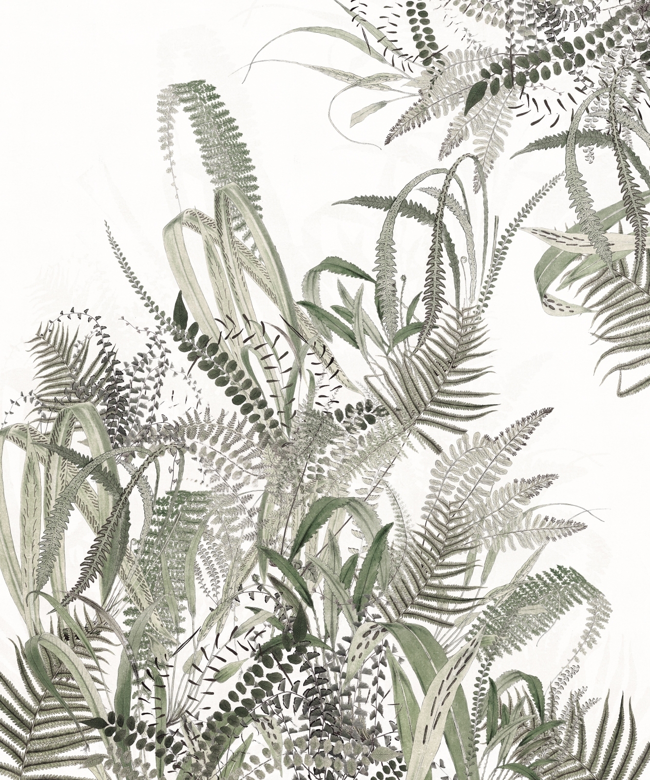 Botanica Pattern – Dekorami