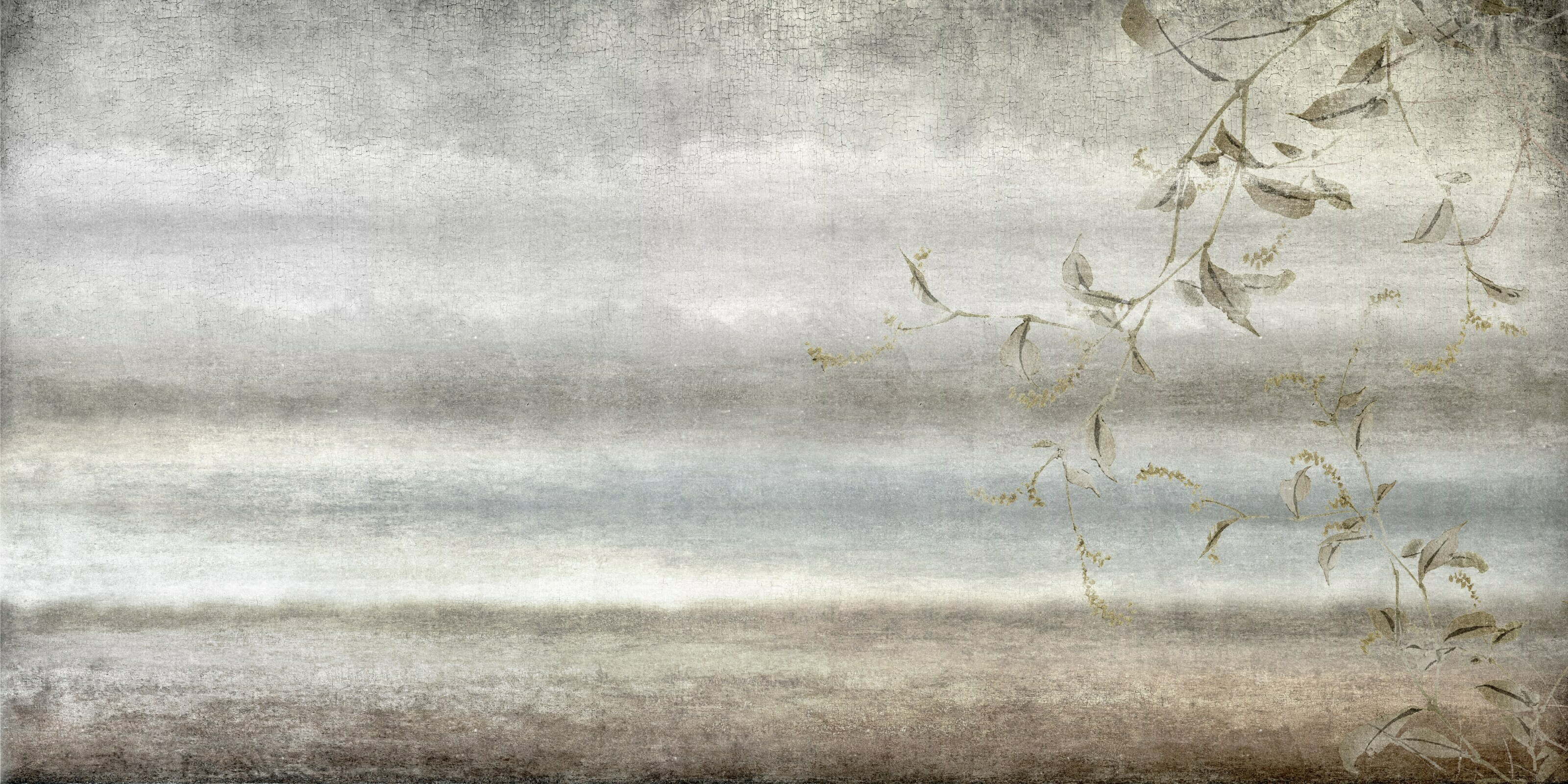 Eclipse – Dekorami