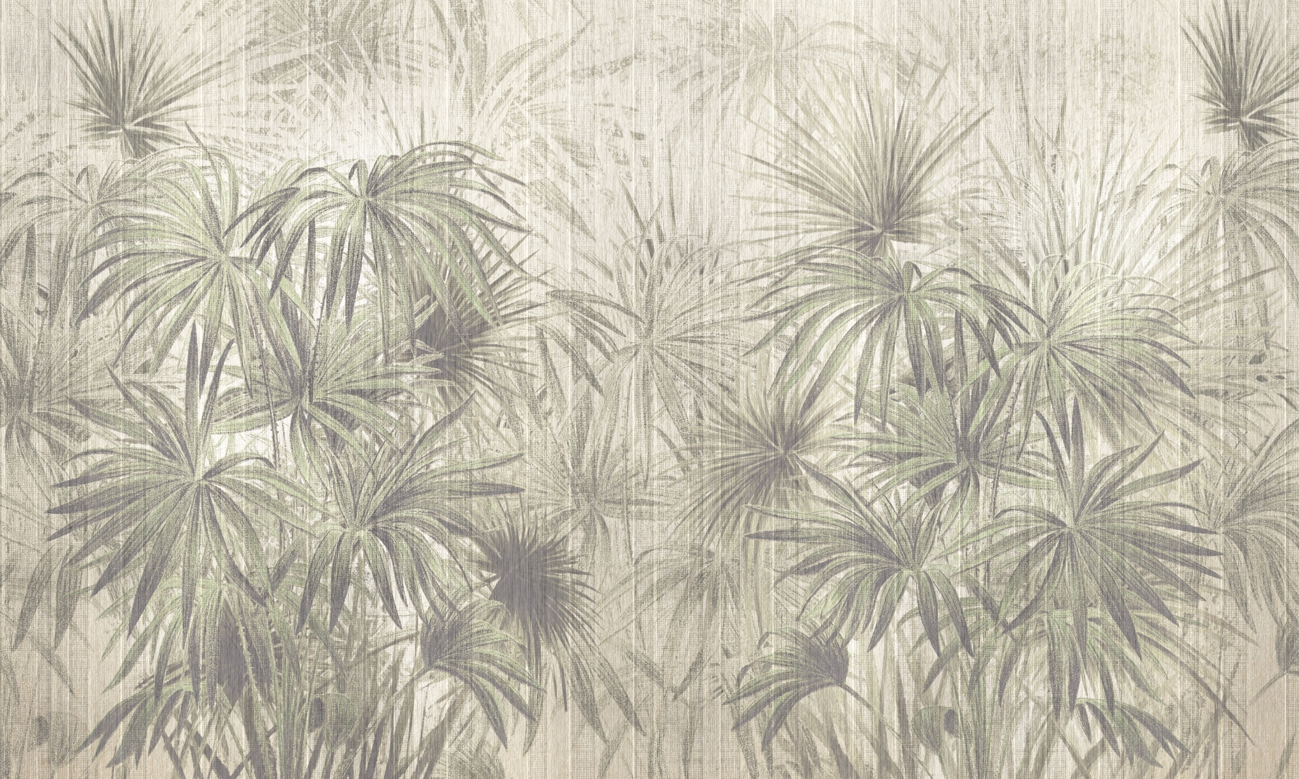 Palmeria – Dekorami