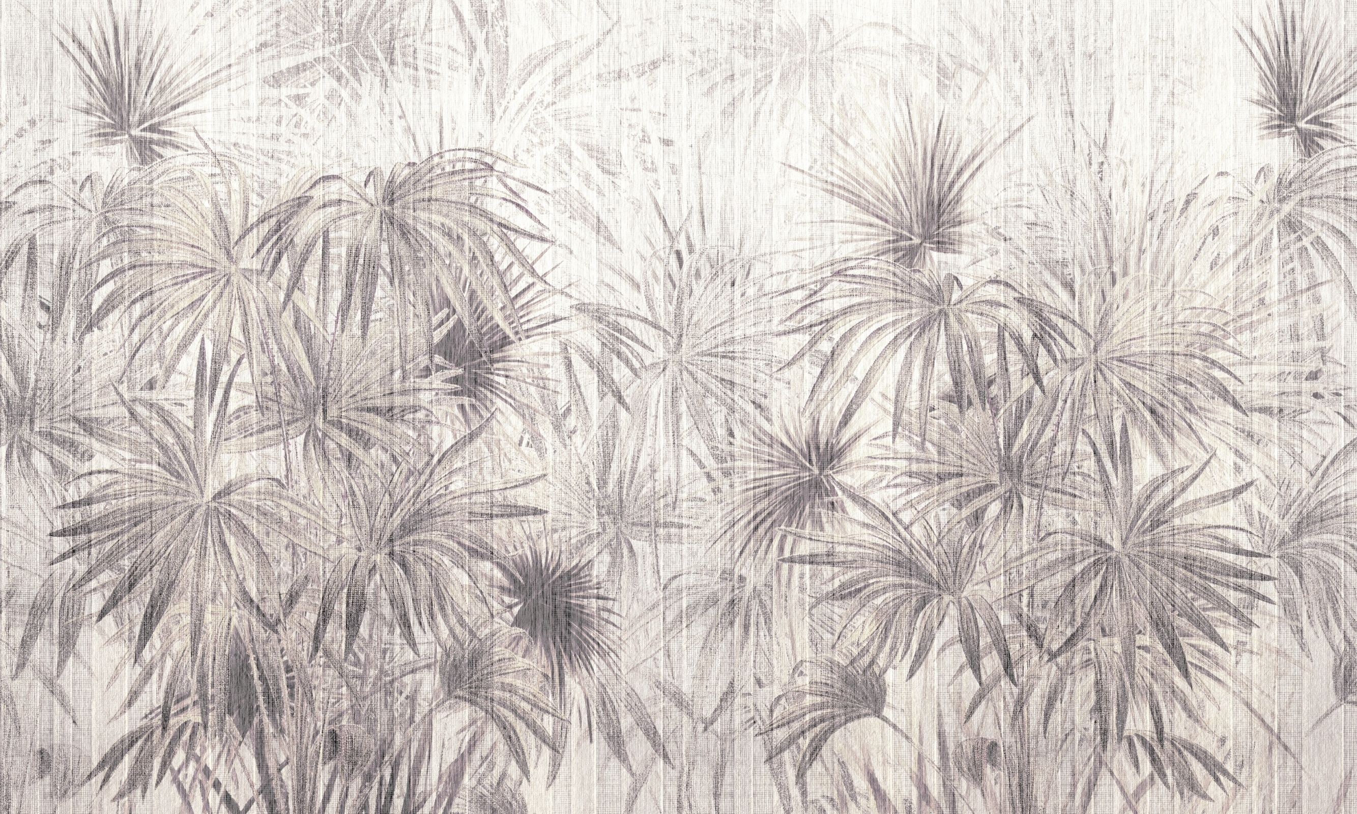 Palmeria – Dekorami