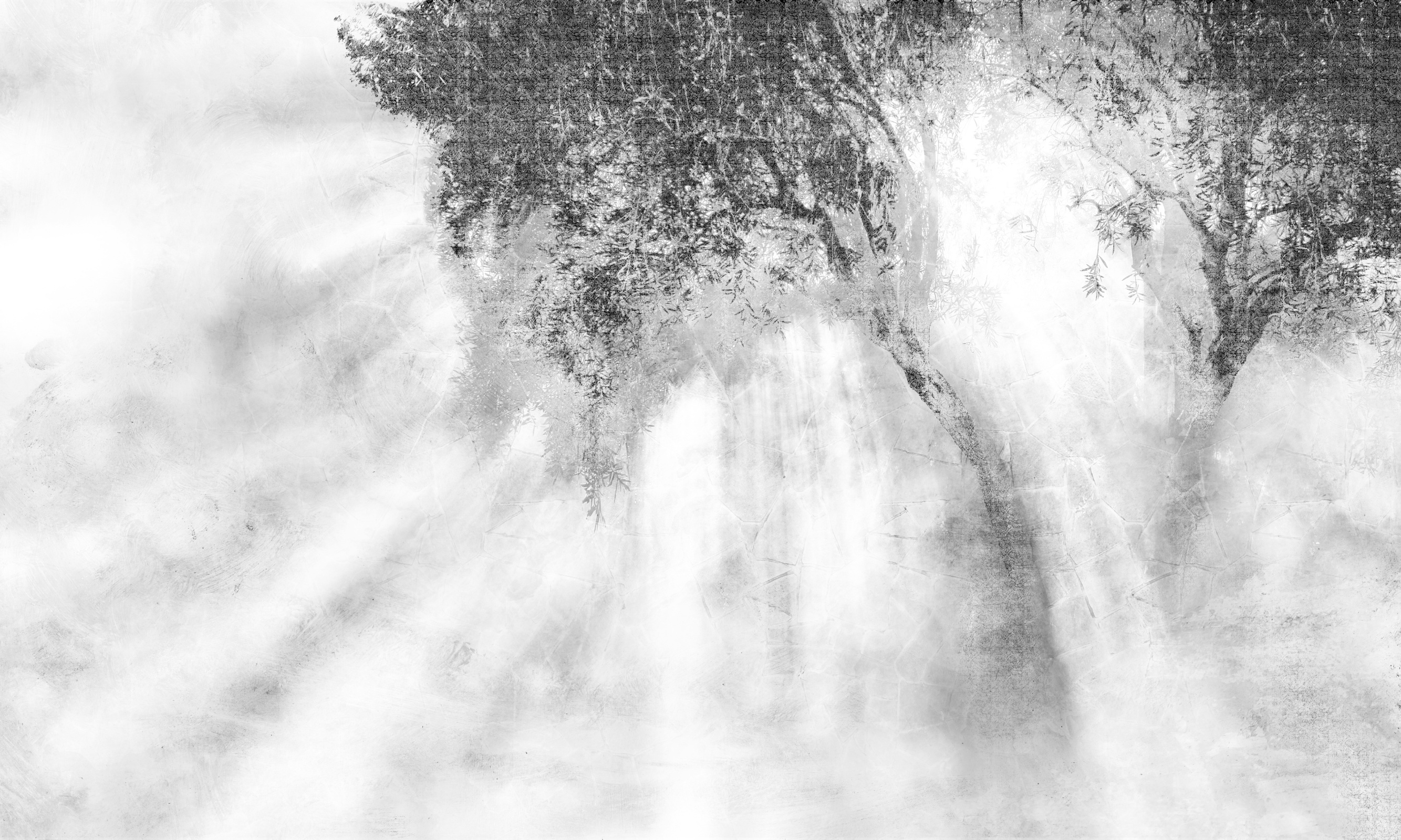 Ray Of Light – Dekorami